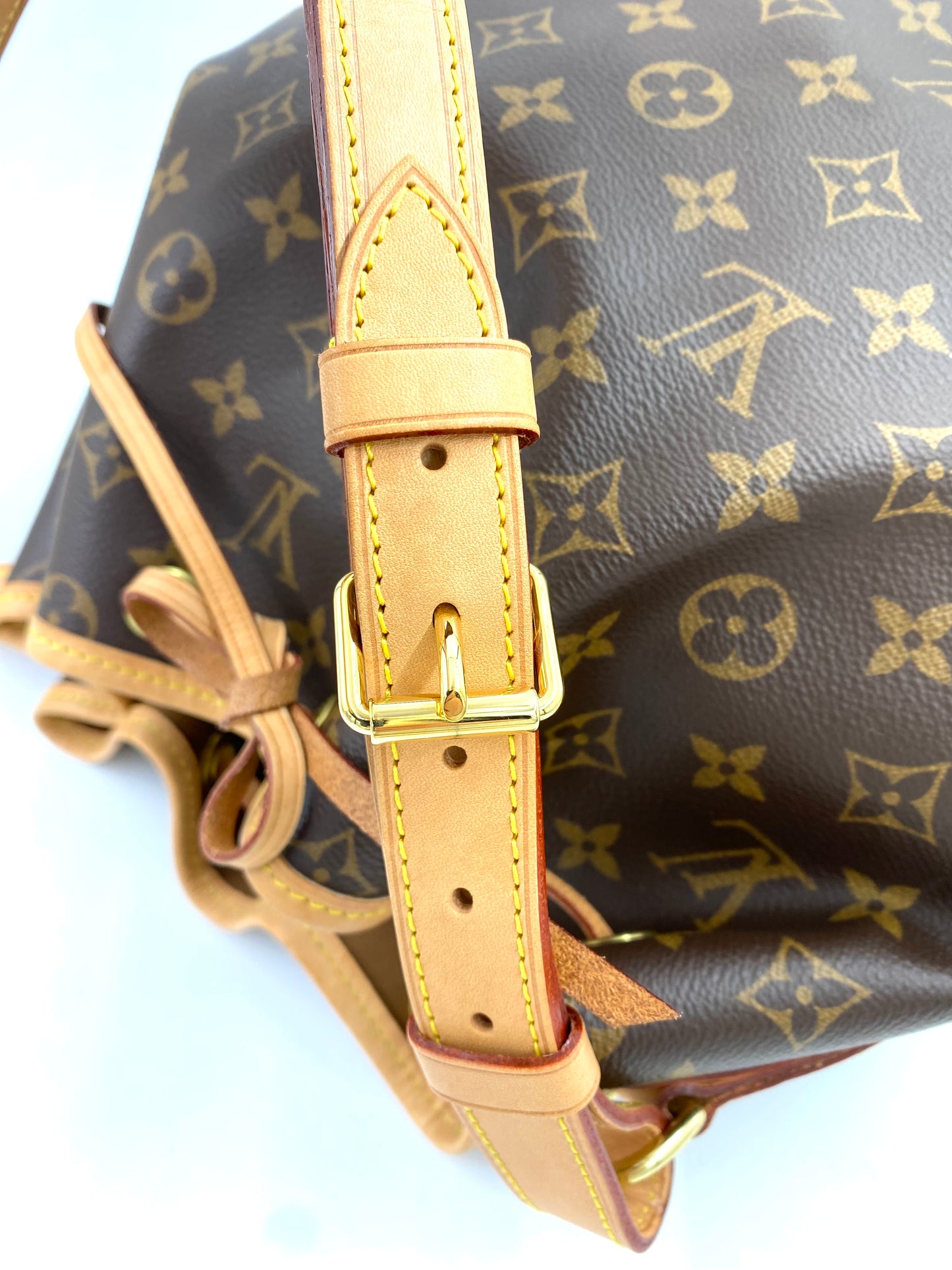 LOUIS VUITTON Noe grande Monogram Canvas