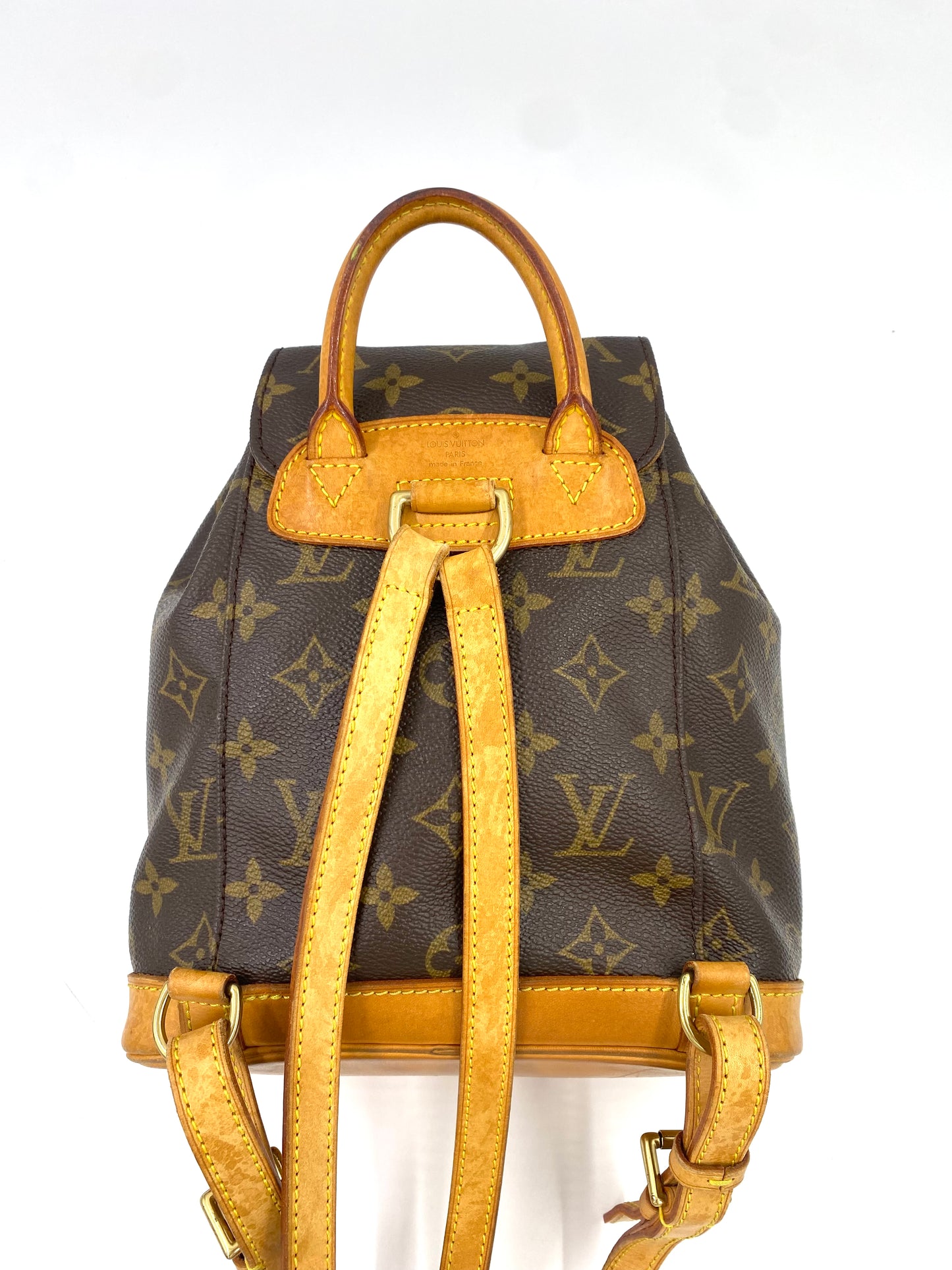 LOUIS VUITTON Montsouris PM Monogram Canvas