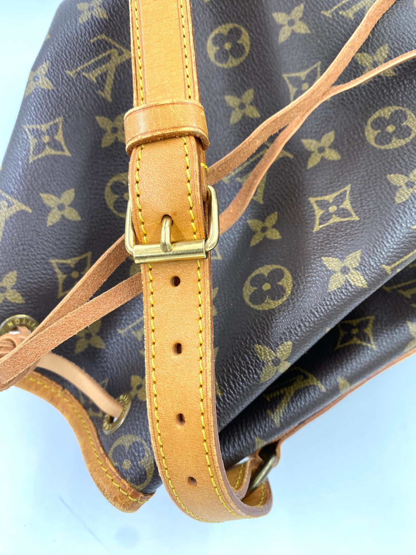 LOUIS VUITTON Noe grande Monogram Canvas