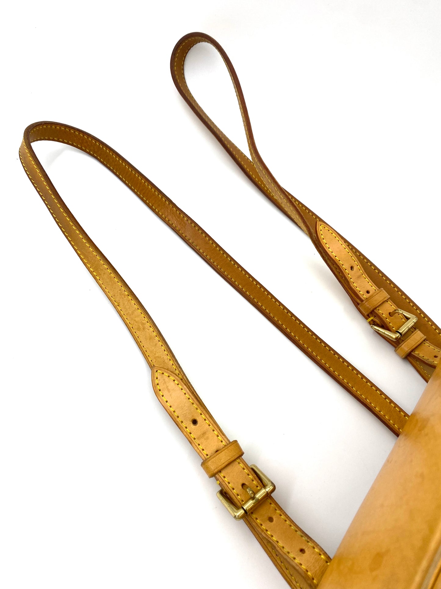LOUIS VUITTON Montsouris PM Monogram Canvas