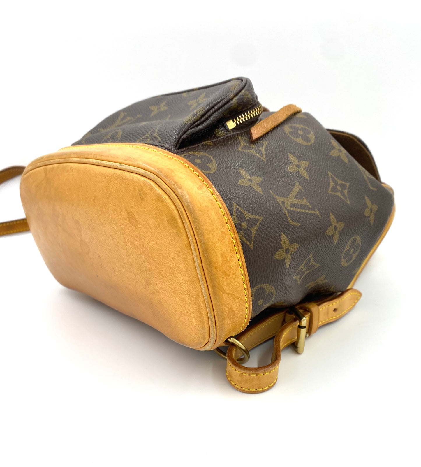 LOUIS VUITTON Montsouris PM Monogram Canvas