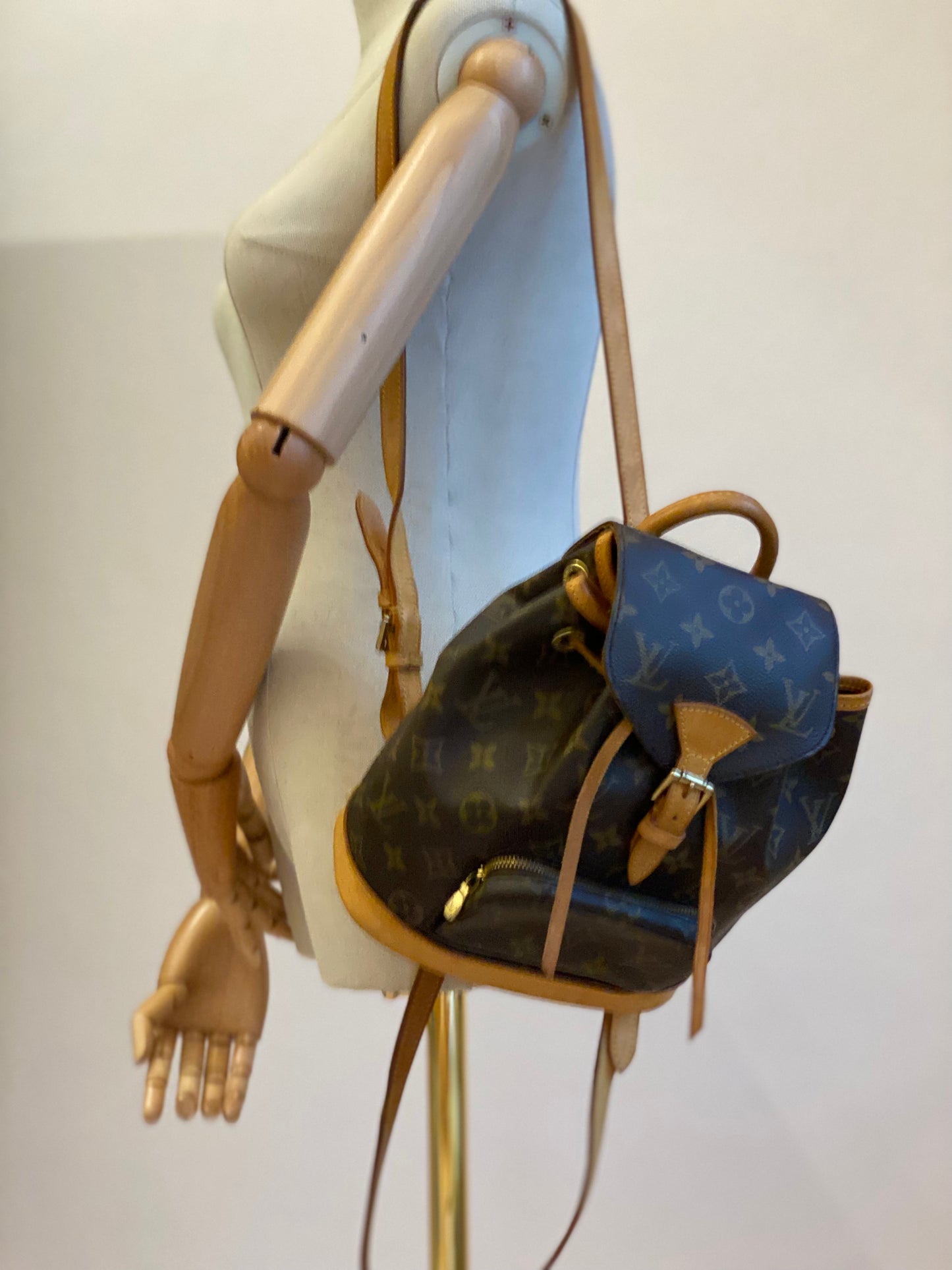 LOUIS VUITTON Montsouris PM Monogram Canvas