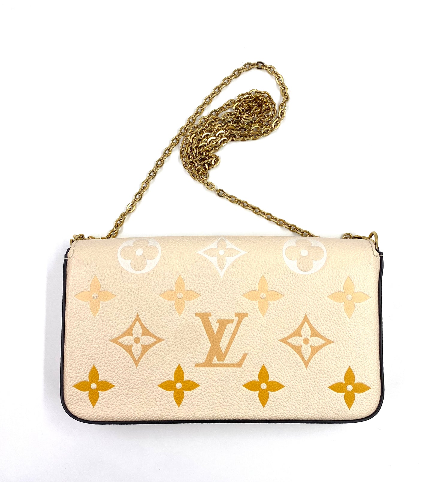 LOUIS VUITTON Pochette Felicie Monogram Empreinte by the Pool