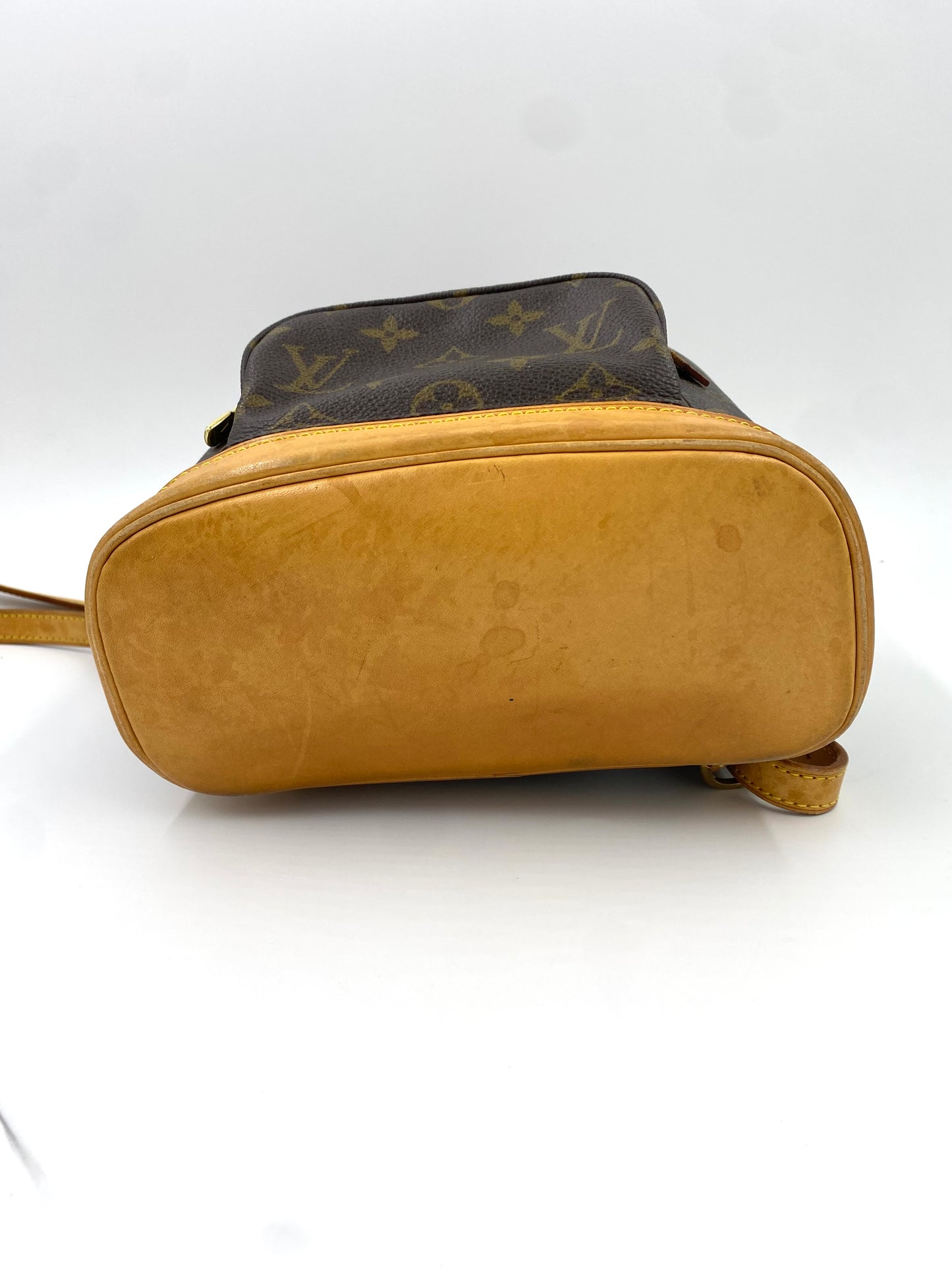 LOUIS VUITTON Montsouris PM Monogram Canvas