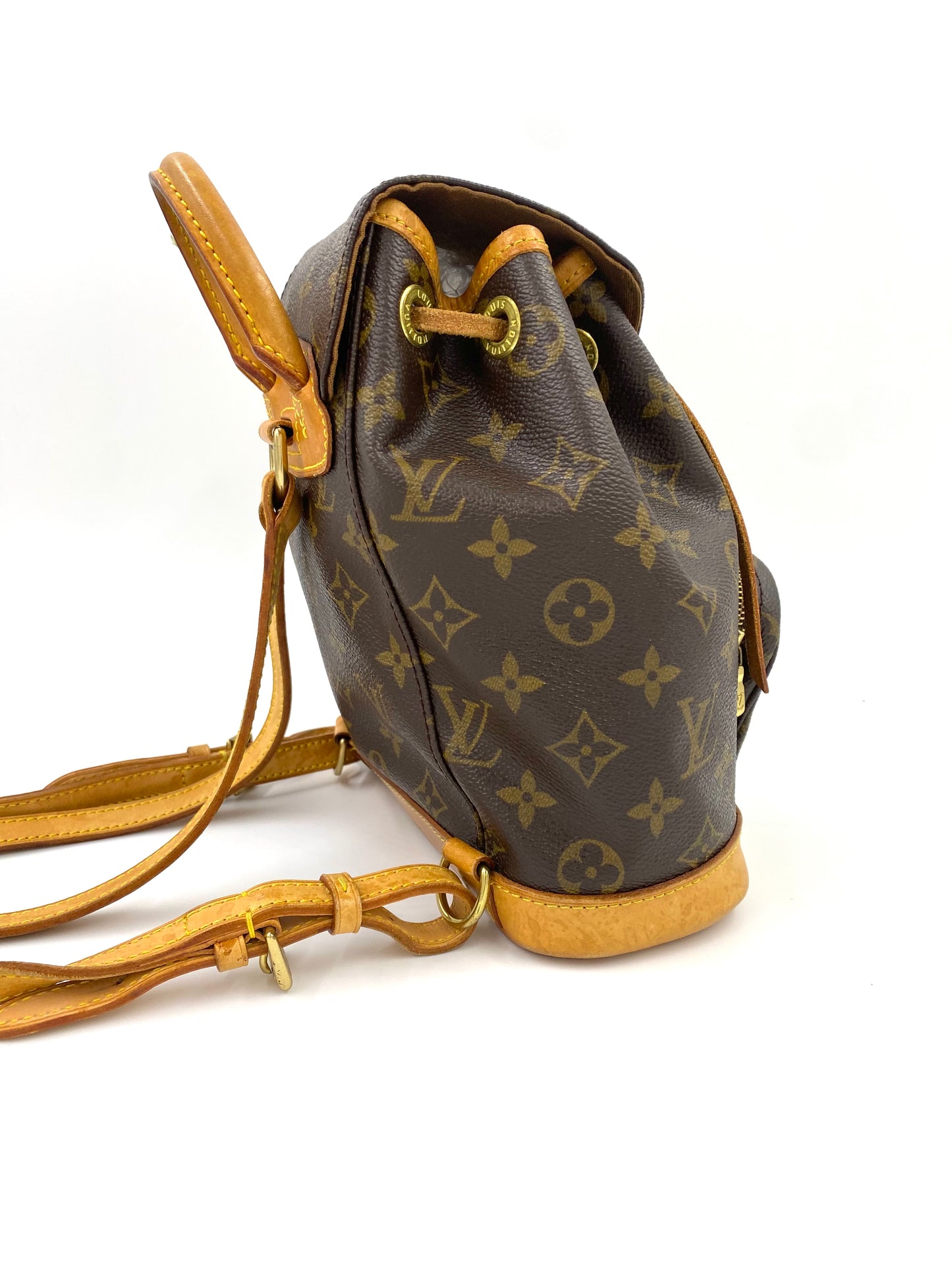 LOUIS VUITTON Montsouris PM Monogram Canvas