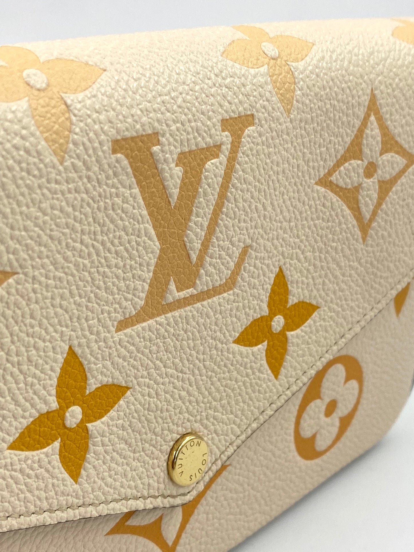 LOUIS VUITTON Pochette Felicie Monogram Empreinte by the Pool