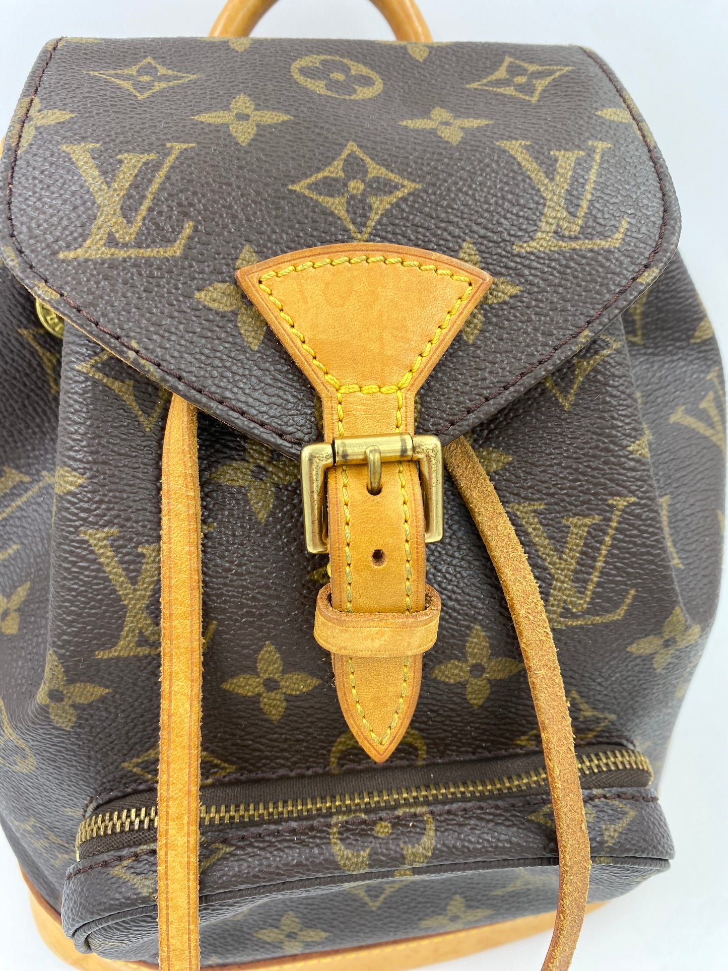 LOUIS VUITTON Montsouris PM Monogram Canvas