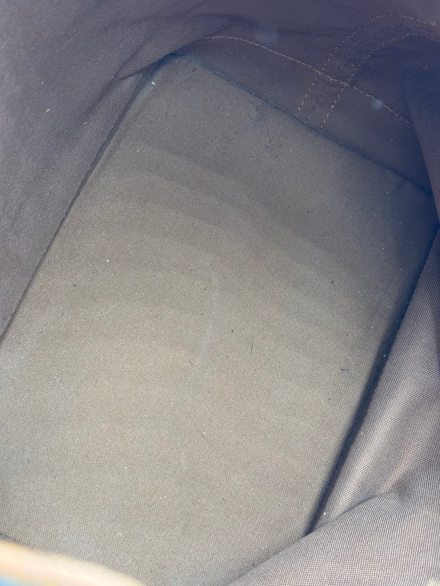 LOUIS VUITTON Noe grande Monogram Canvas