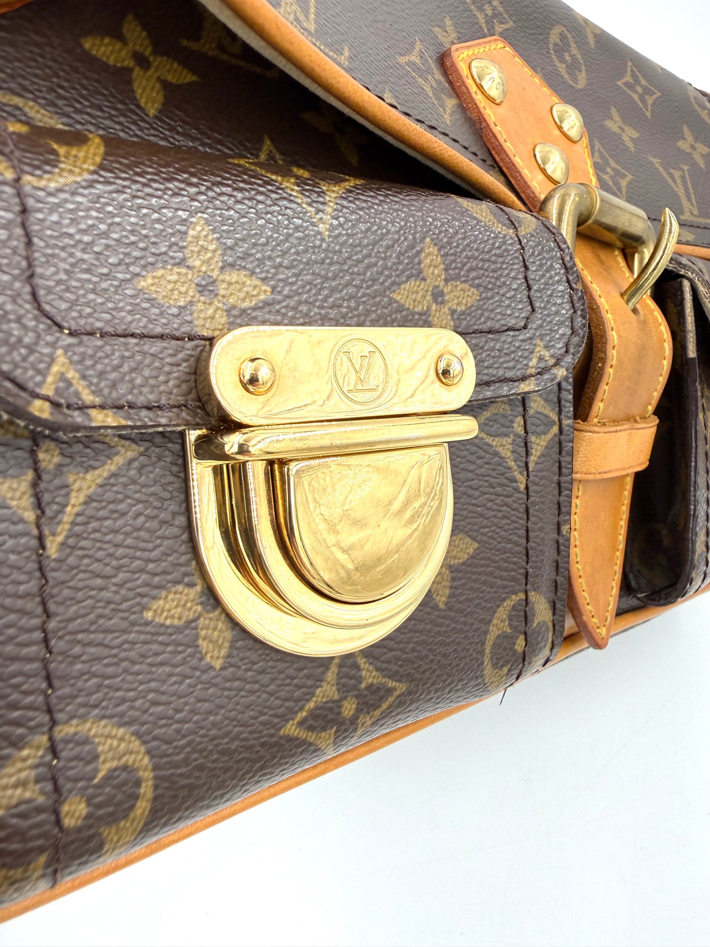 LOUIS VUITTON Hudson Monogram Canvas