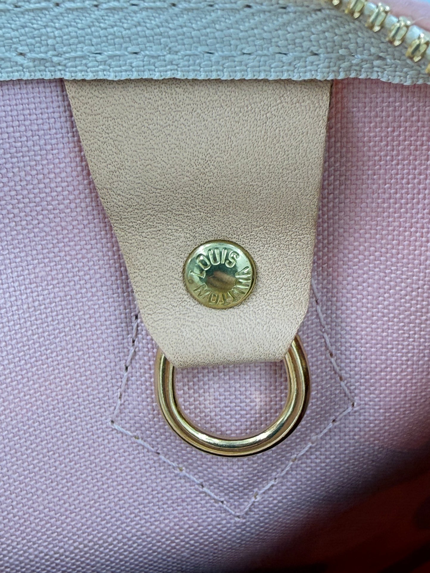 LOUIS VUITTON Speedy 30 Tahitienne