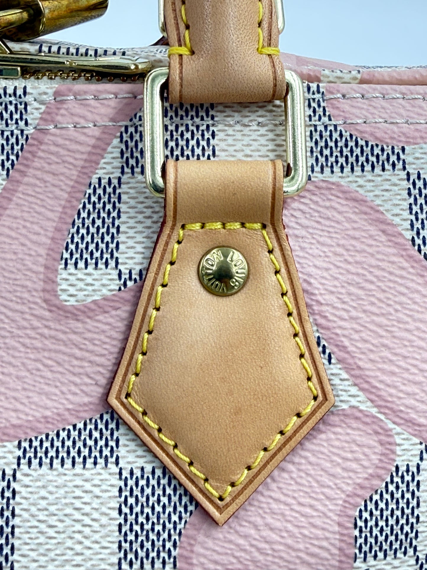 LOUIS VUITTON Speedy 30 Tahitienne