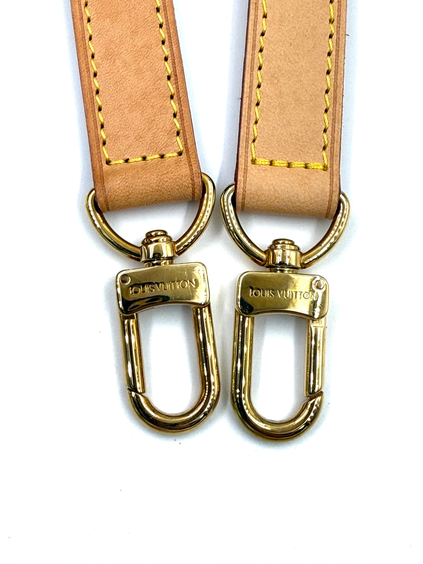 LOUIS VUITTON Speedy 30 Tahitienne