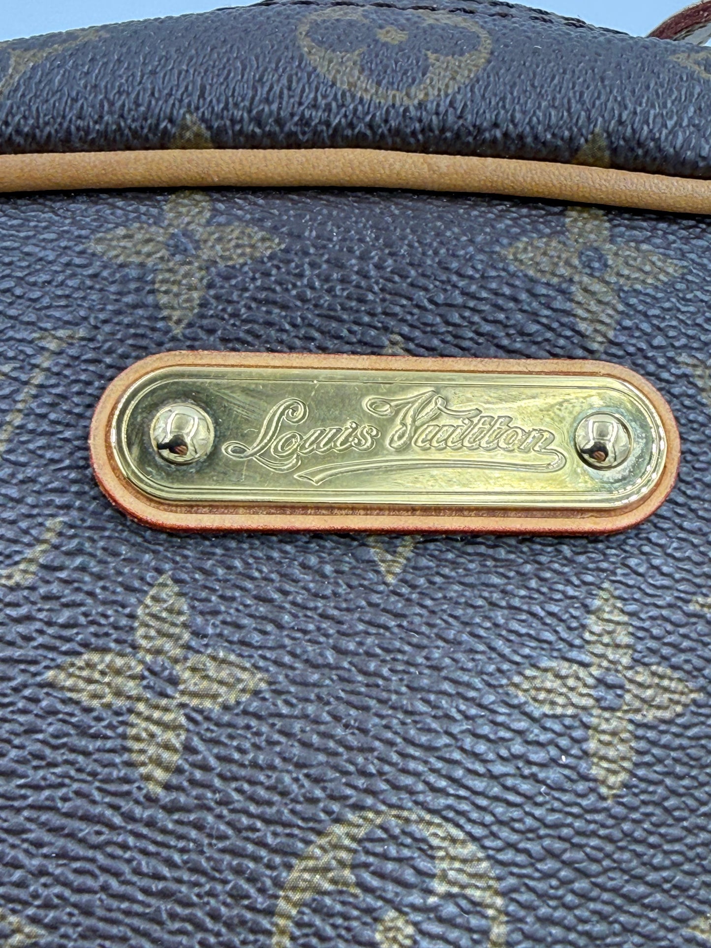 LOUIS VUITTON Montogureil Monogram Canvas