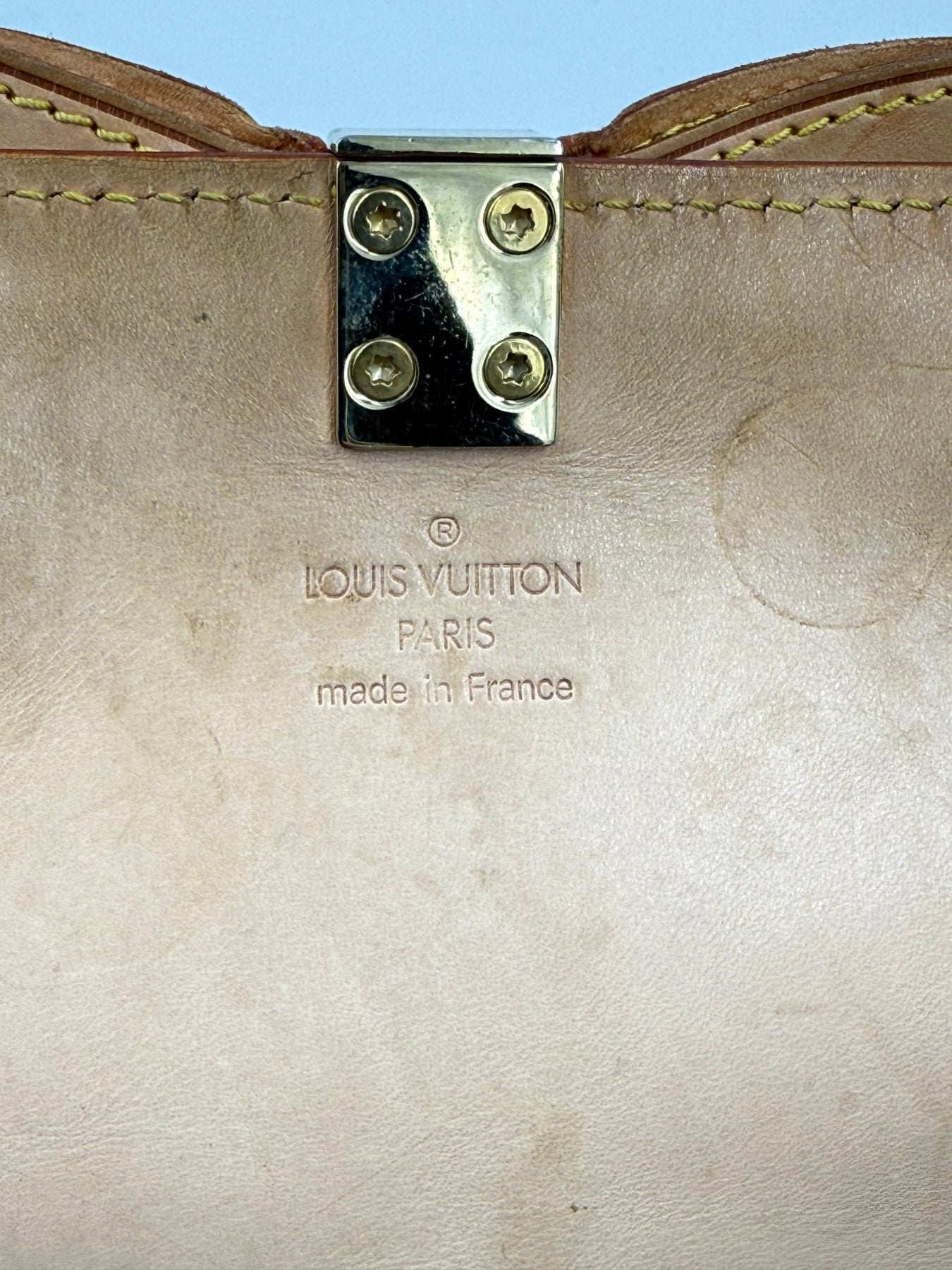 LOUIS VUITTON Papillon Cherry Blossom x Murakami - Clutch & Macarons - unlesbar - Clutch & Macarons -
