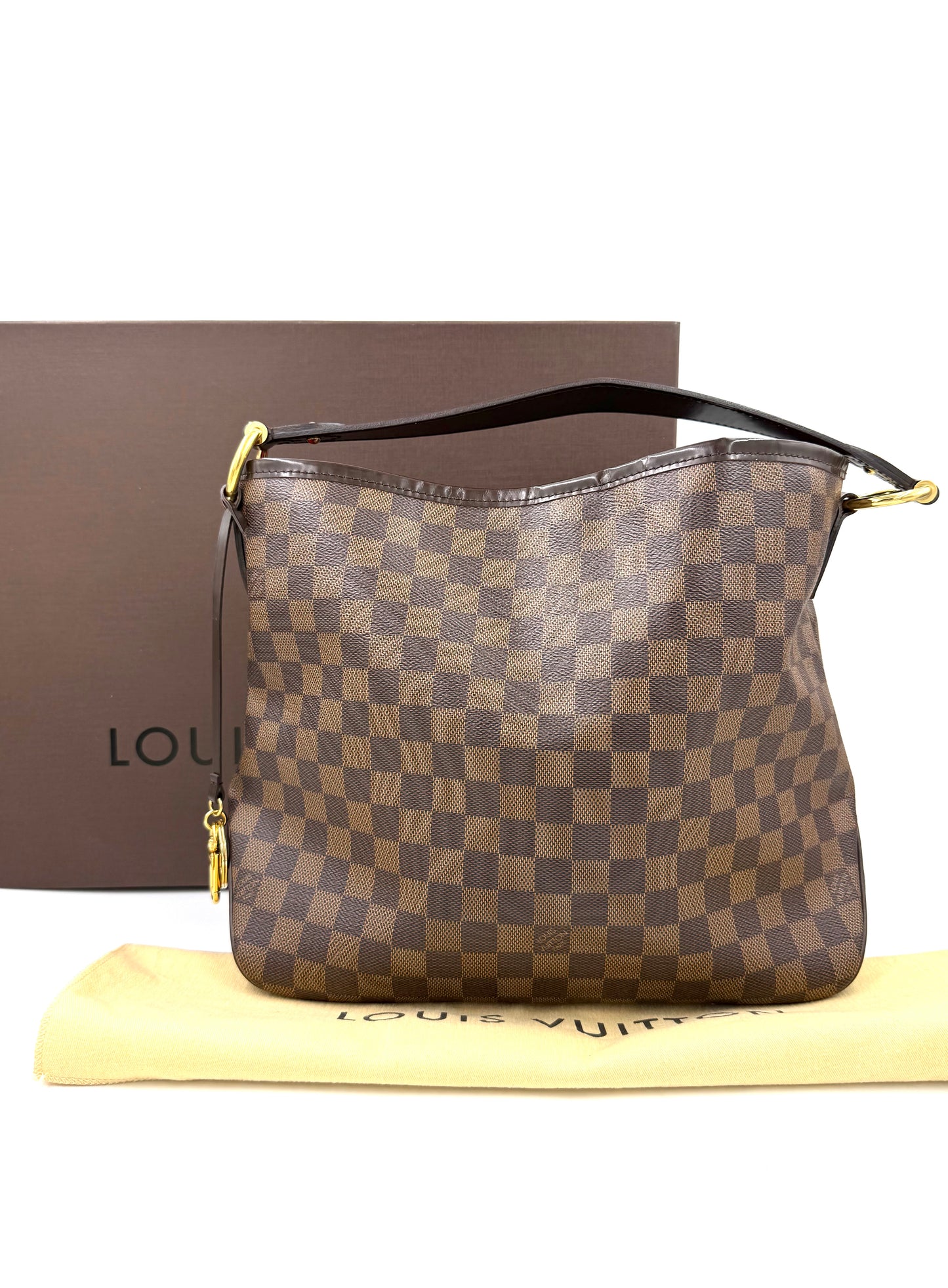 LOUIS VUITTON Delightful PM Damier Ebene