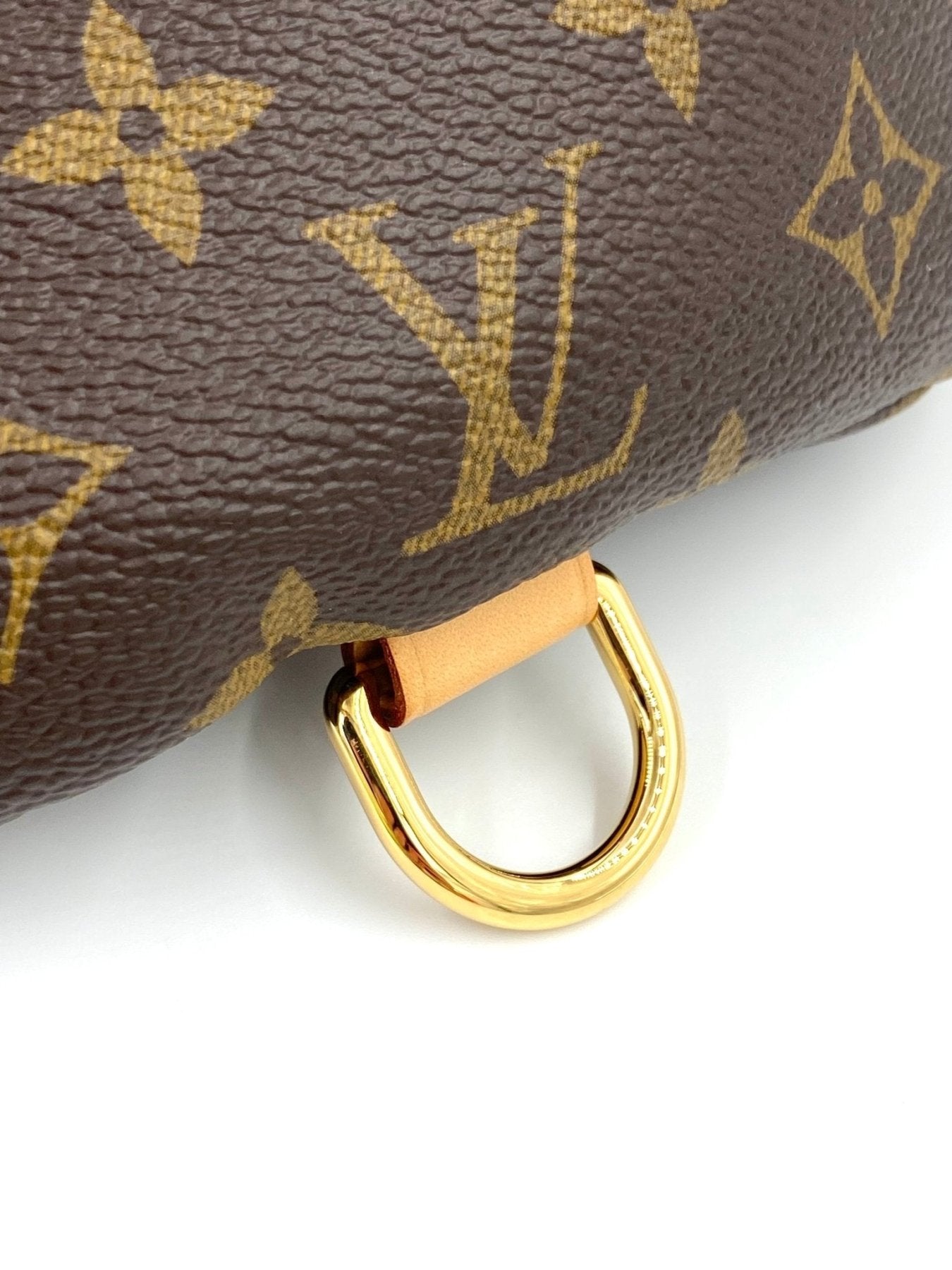 Louis Vuitton Bumbag Monogram Canvas Guerteltasche mit goldenem D-Ring Detail und klassischem LV Monogram Muster