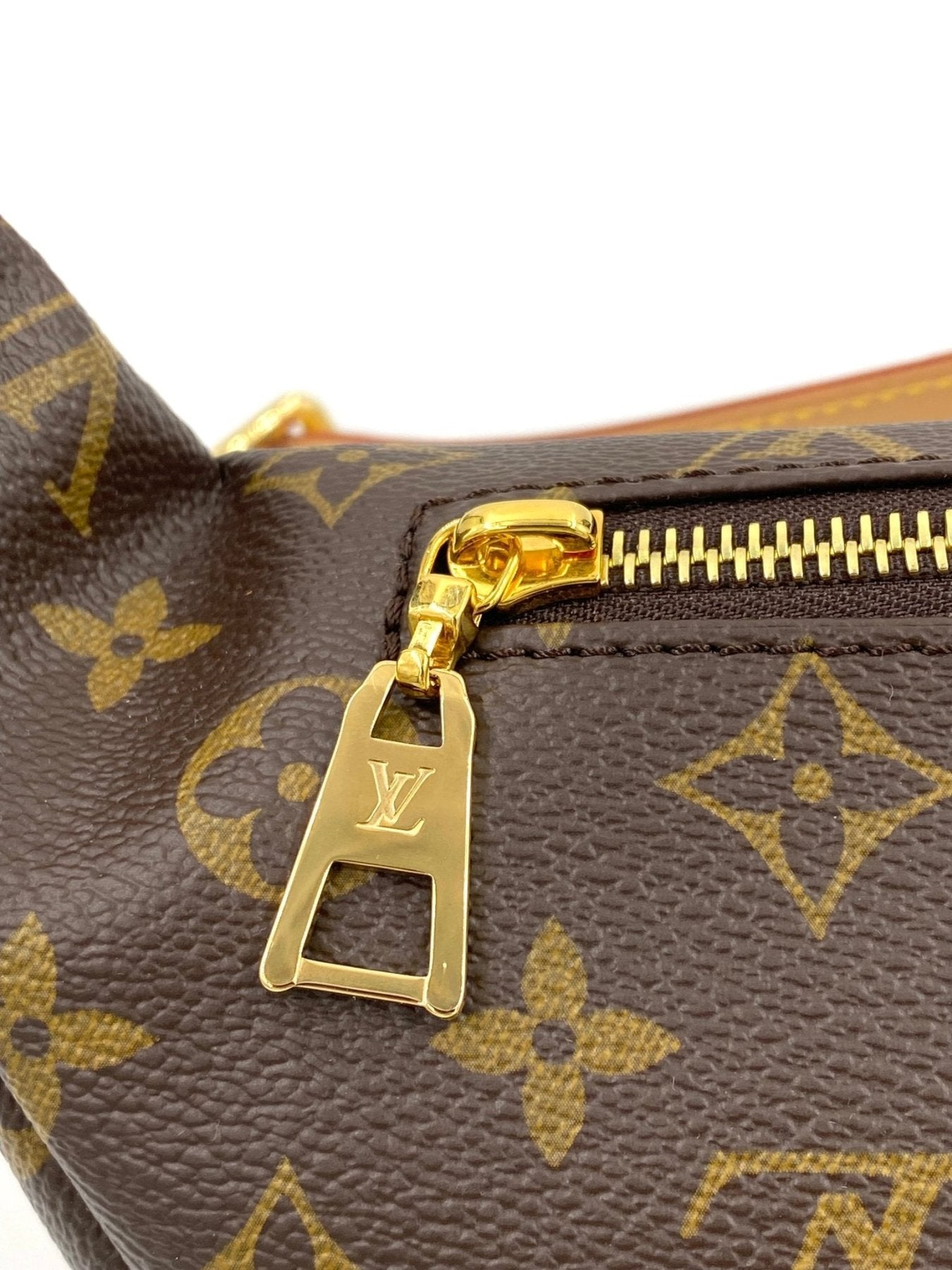 Louis Vuitton Bumbag Monogram Canvas Guerteltasche mit goldfarbenem Reissverschluss und charakteristischem LV-Muster