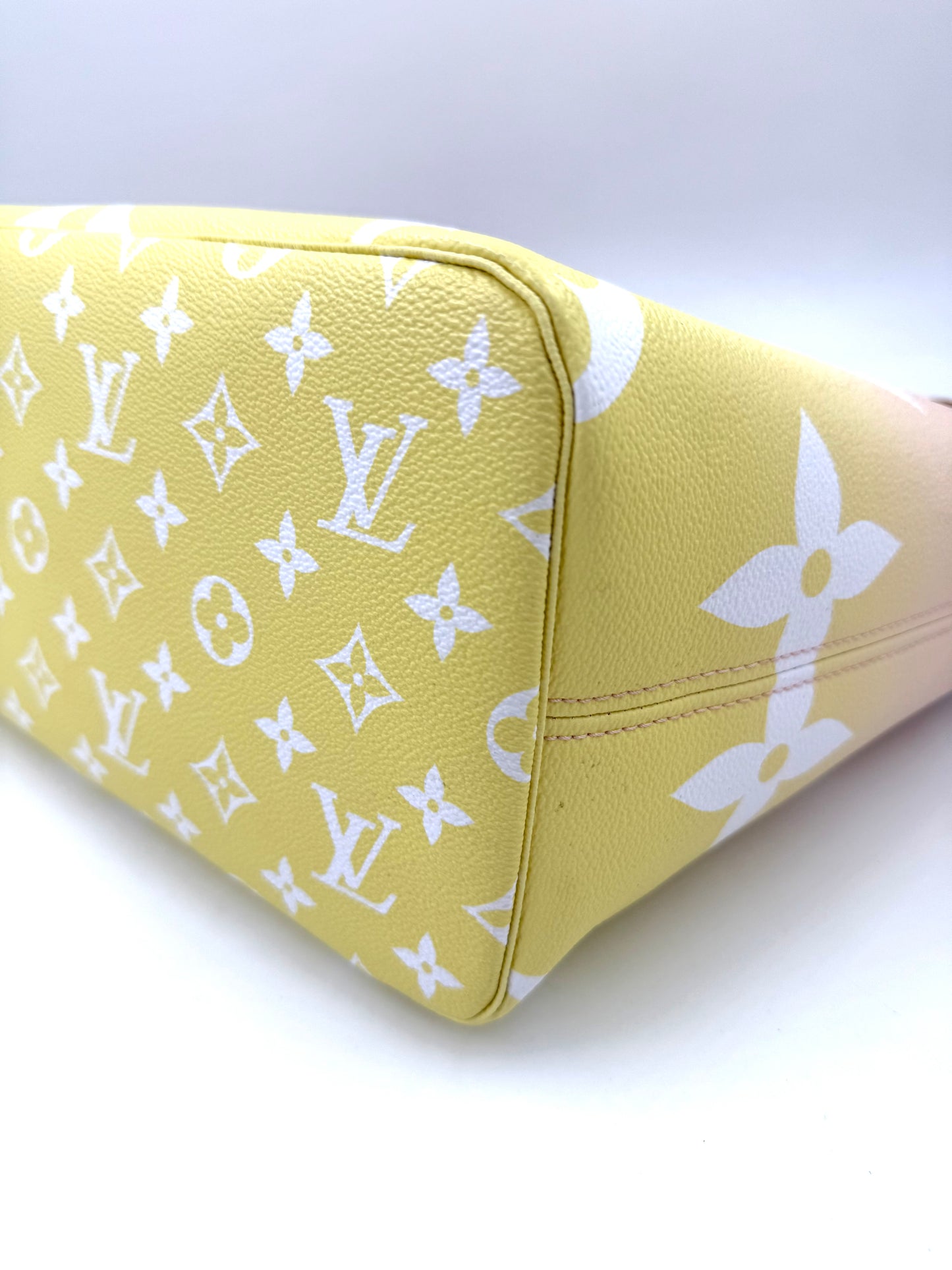 LOUIS VUITTON Neverfull MM By the Pool