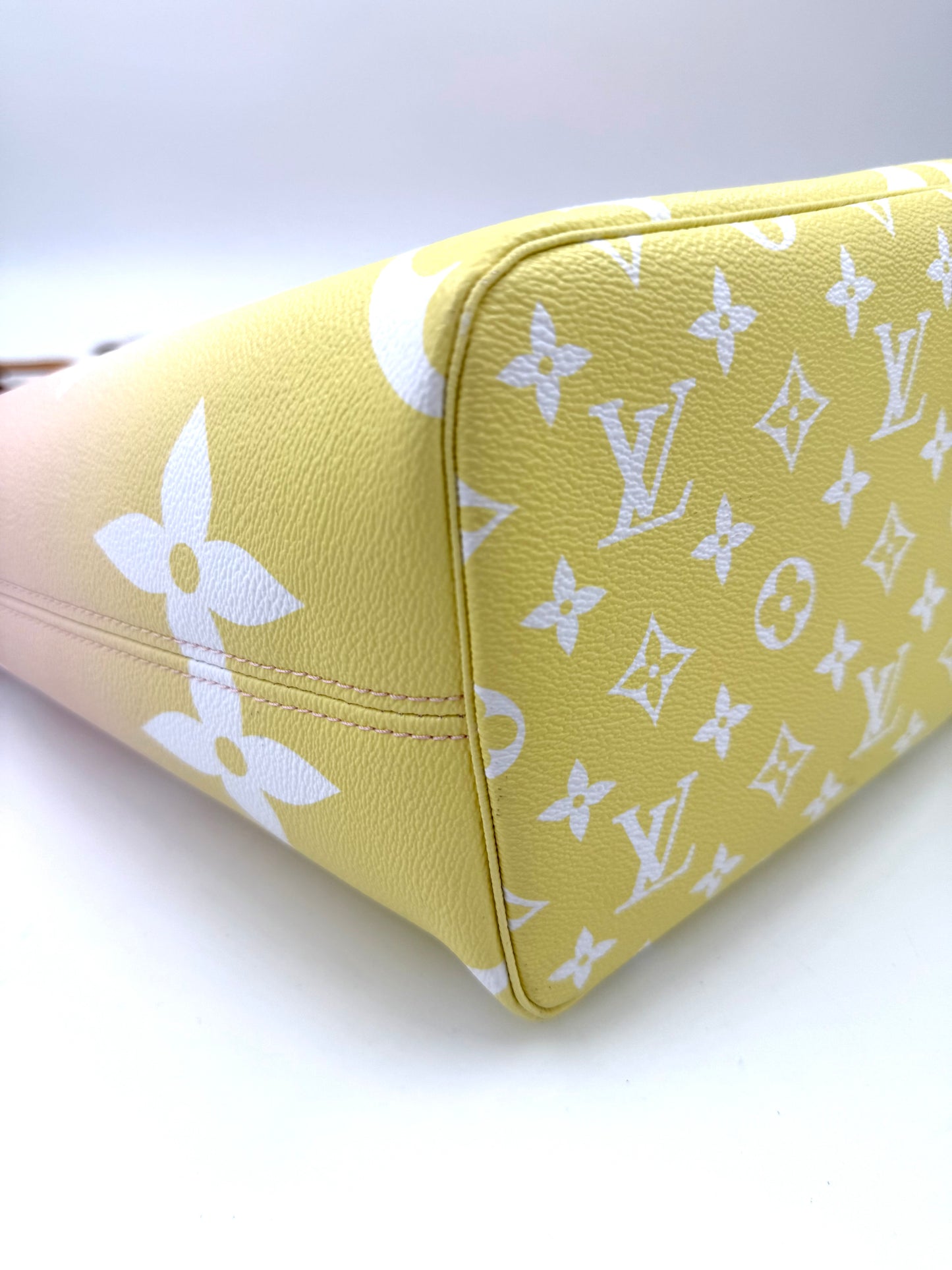 LOUIS VUITTON Neverfull MM By the Pool
