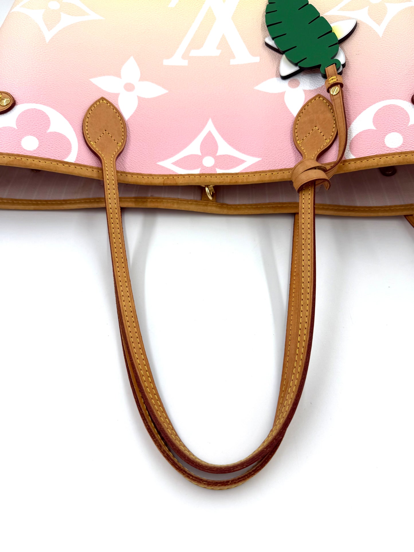 LOUIS VUITTON Neverfull MM By the Pool