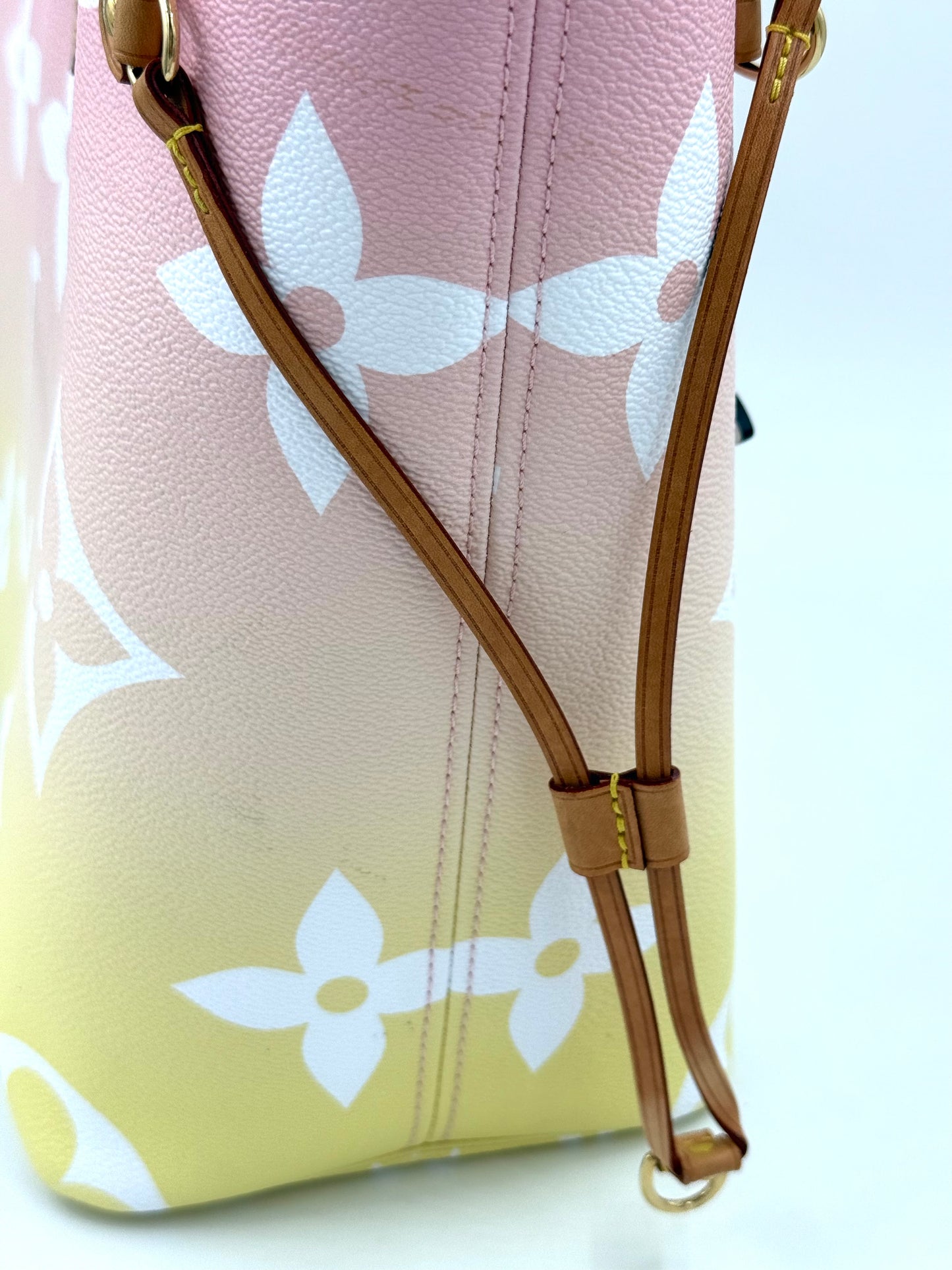 LOUIS VUITTON Neverfull MM By the Pool