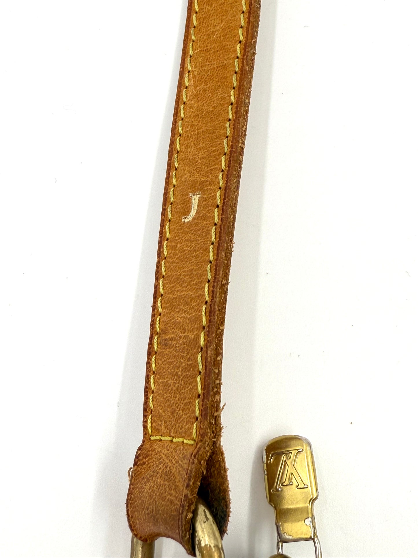 LOUIS VUITTON Odeon PM Monogram Canvas