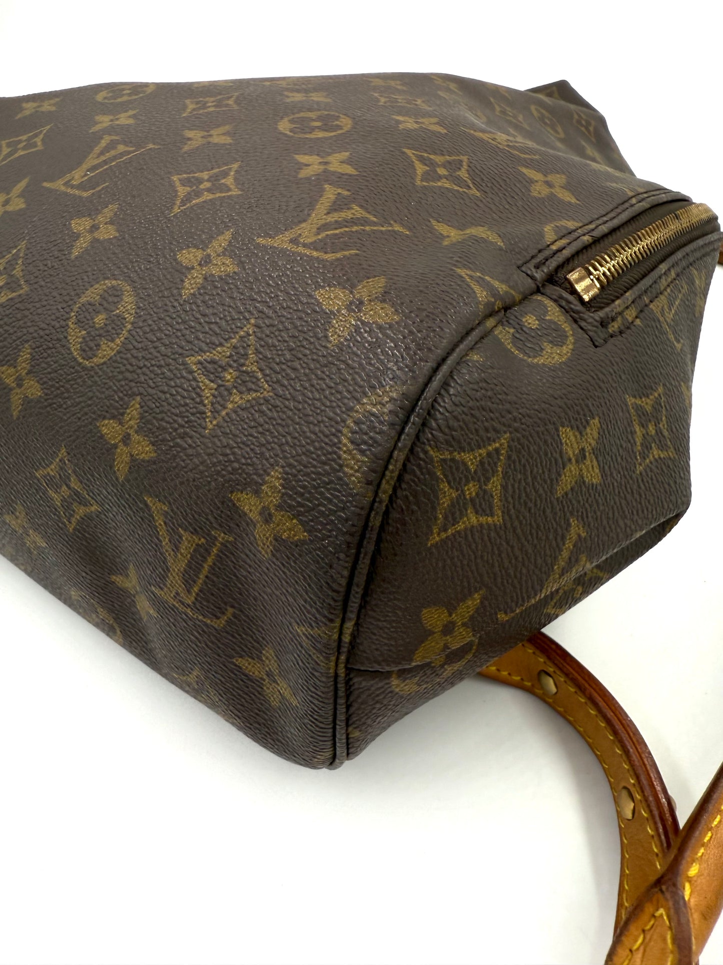 LOUIS VUITTON Sybilla Monogram Canvas