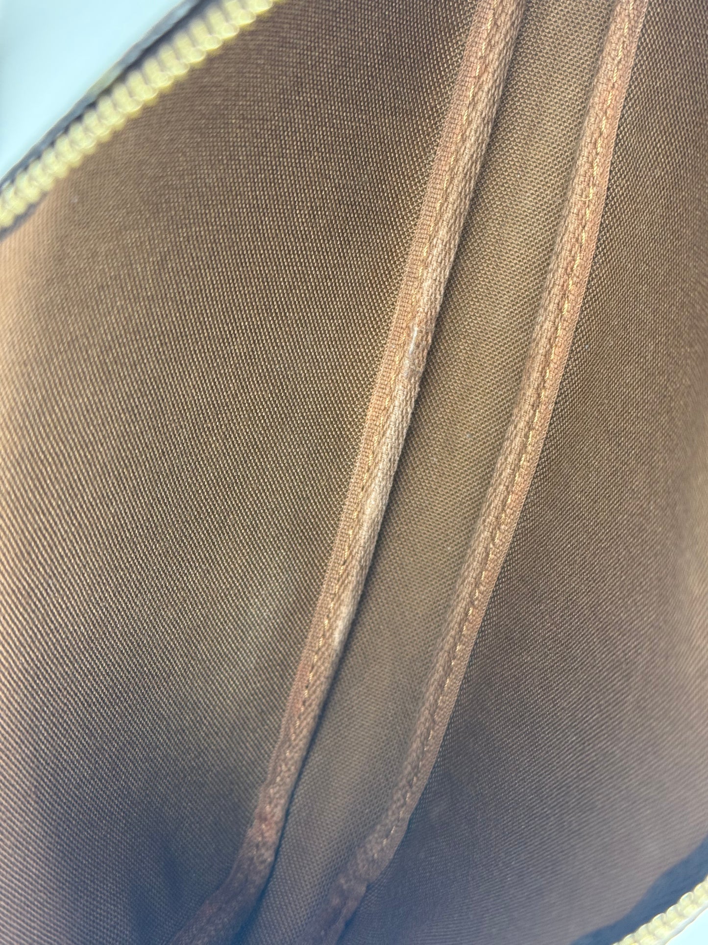 LOUIS VUITTON Pochette Accessoires Monogram Canvas