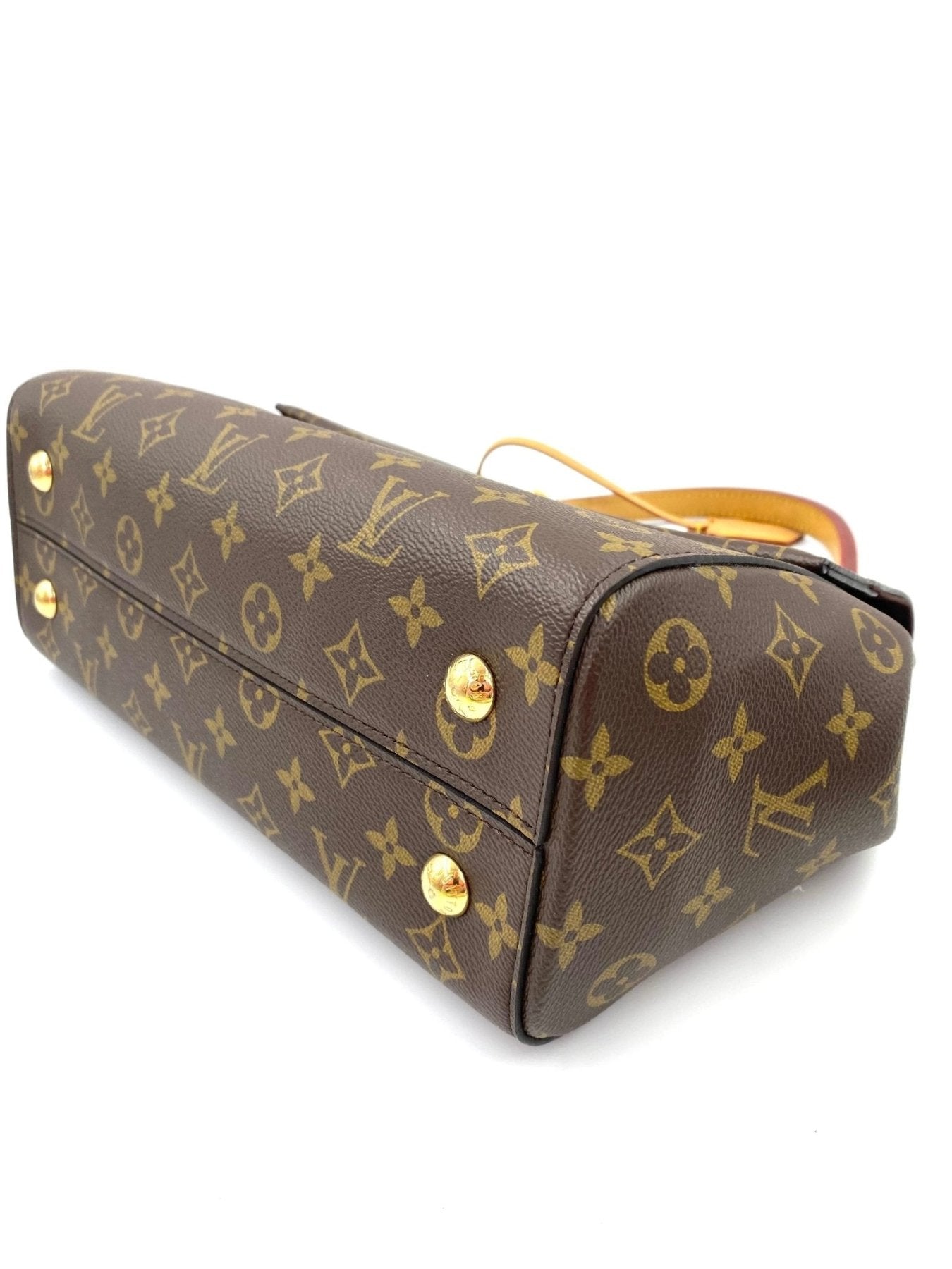 LOUIS VUITTON Cluny Monogram Canvas - Clutch & Macarons - Chip - Clutch & Macarons -