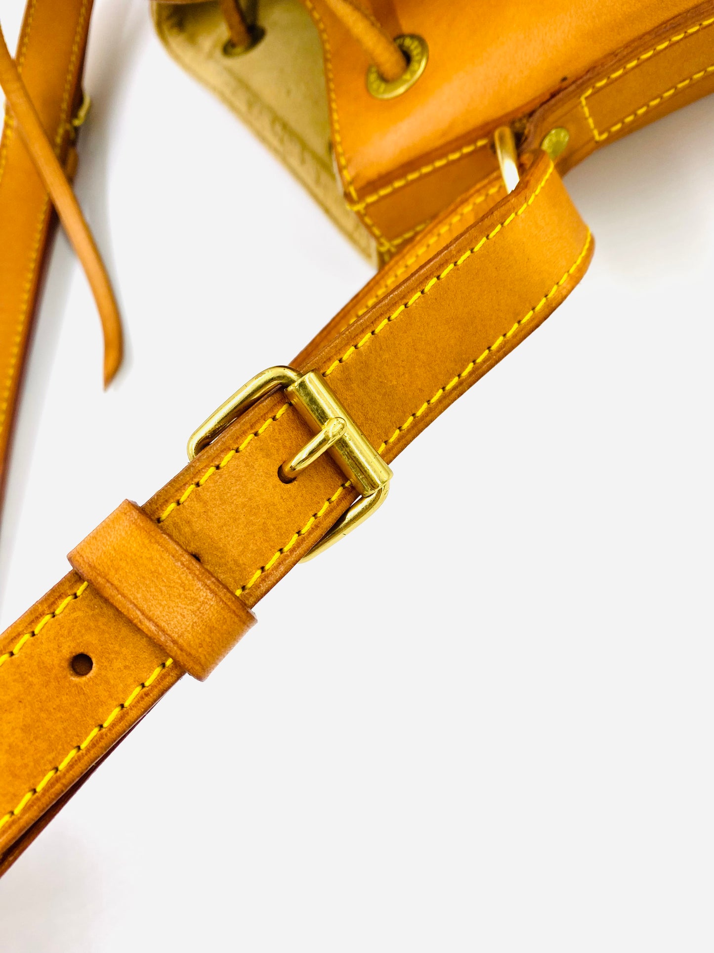 LOUIS VUITTON Noe petit VVN