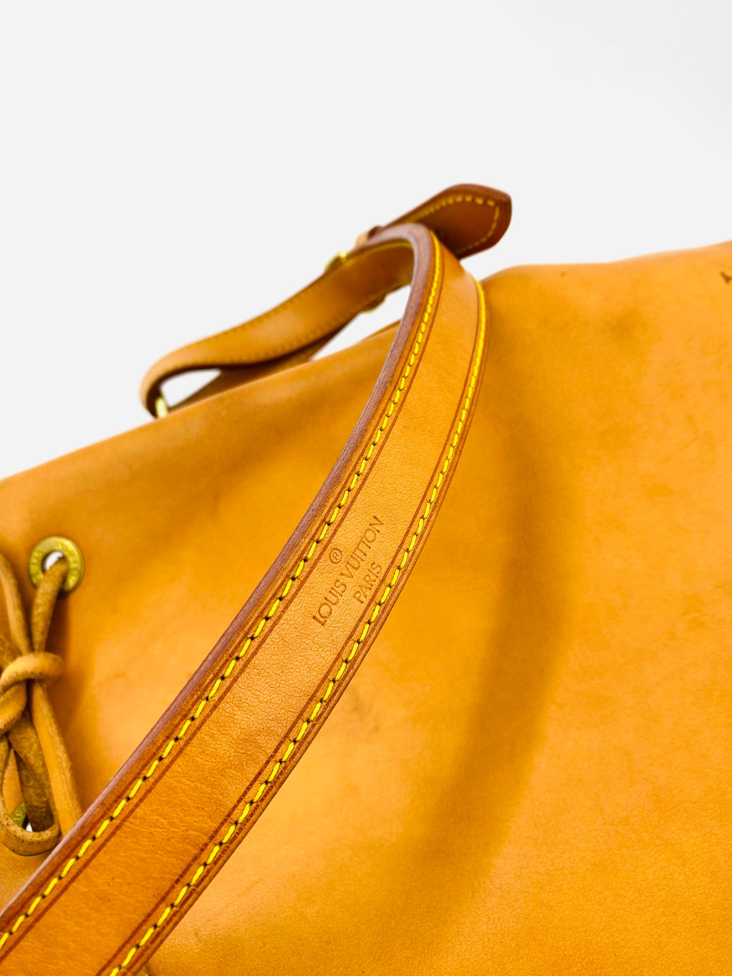 LOUIS VUITTON Noe petit VVN