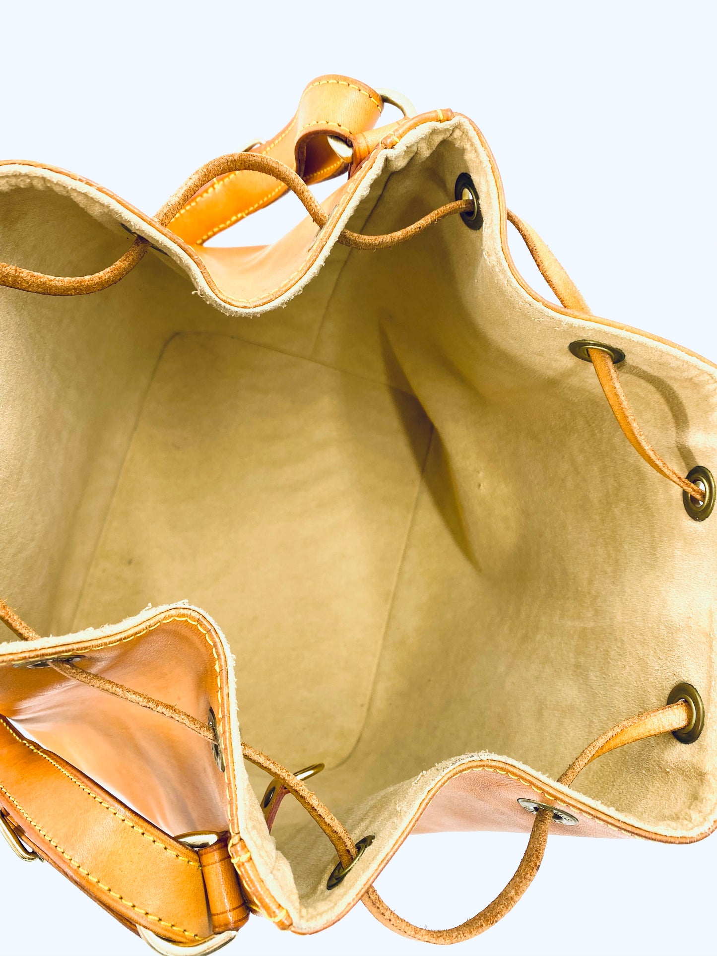 LOUIS VUITTON Noe petit VVN