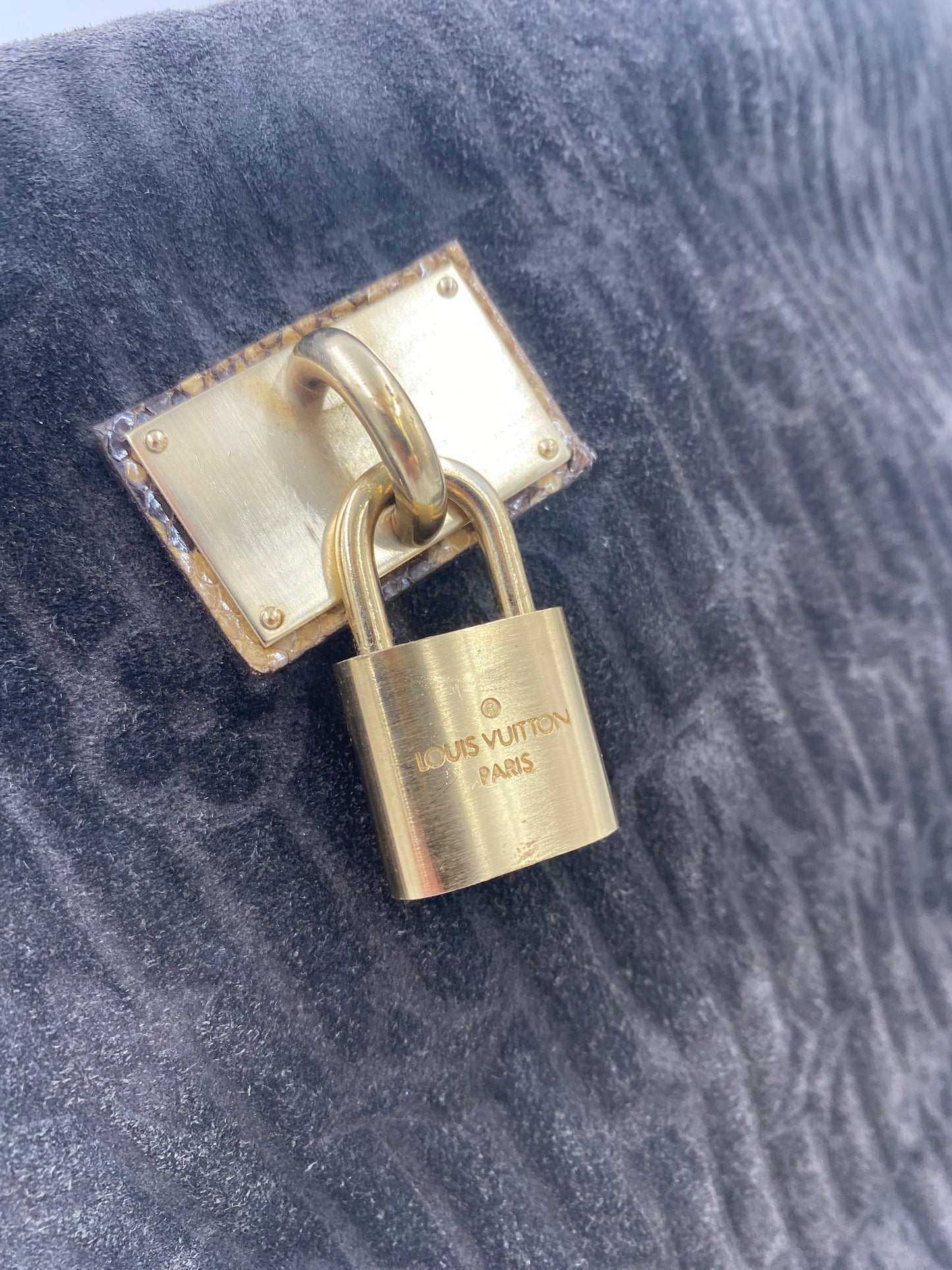 LOUIS VUITTON Whisper Monogram Suede