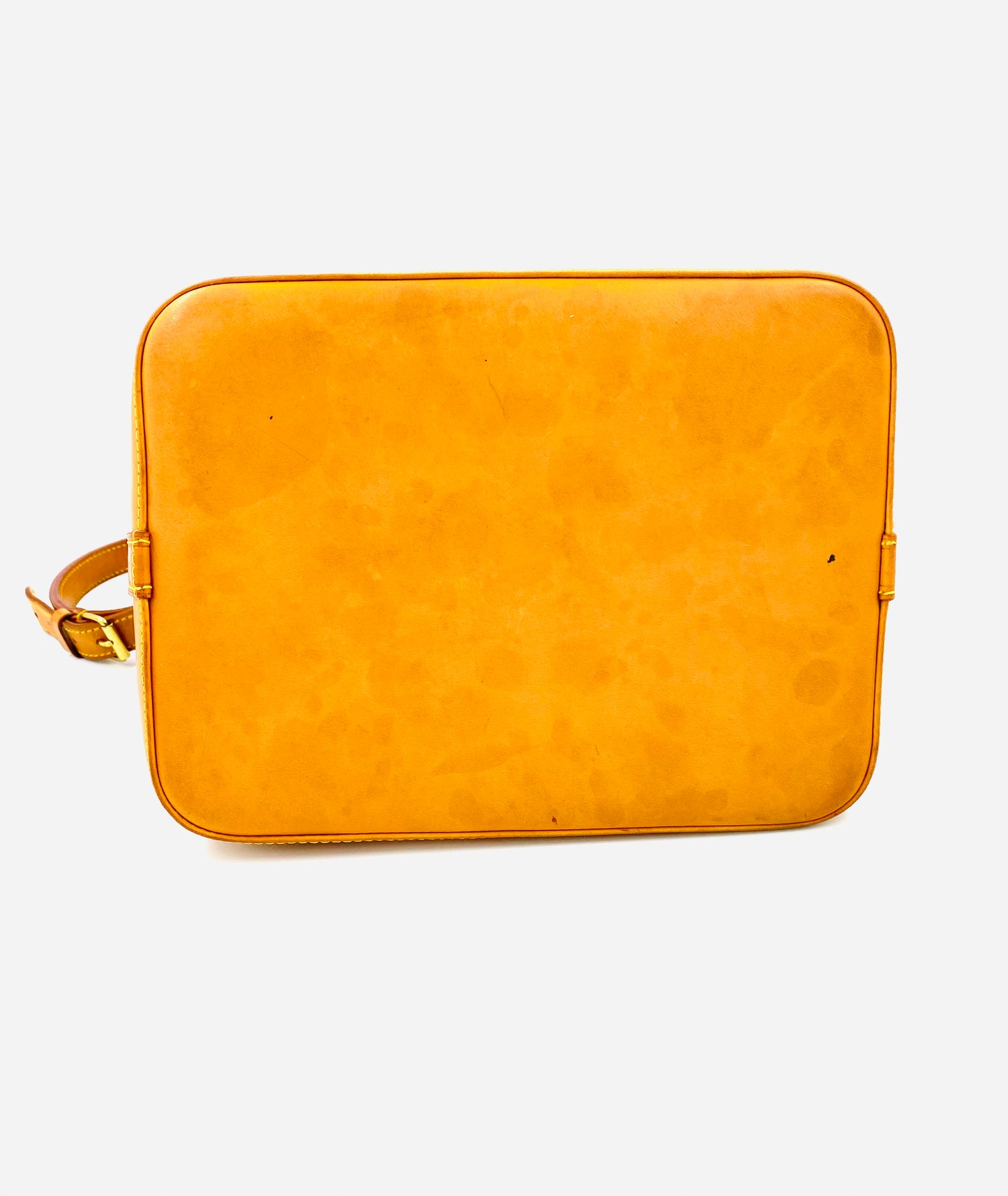 LOUIS VUITTON Noe petit VVN