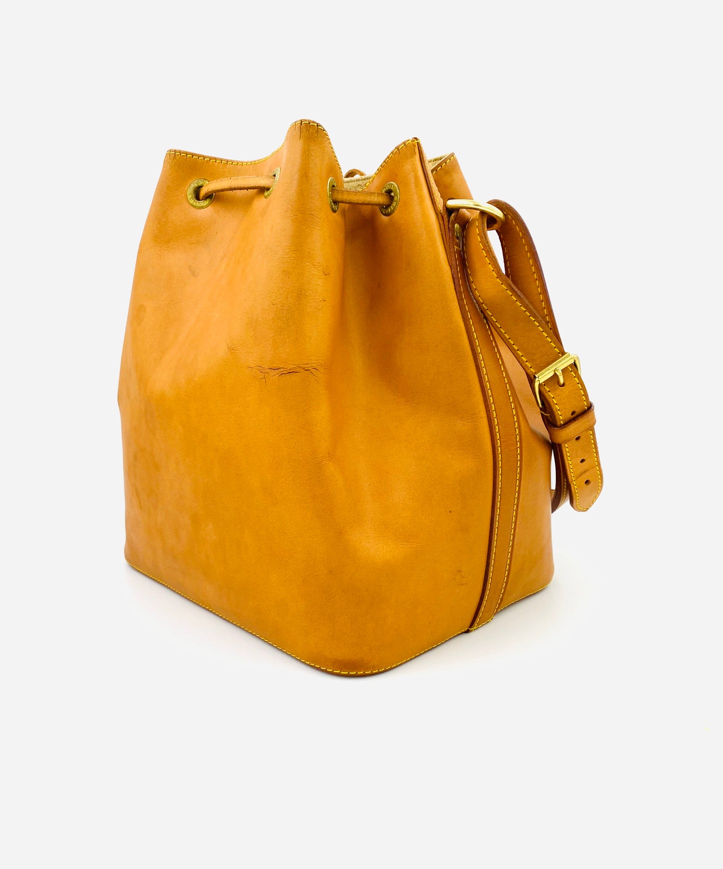 LOUIS VUITTON Noe petit VVN