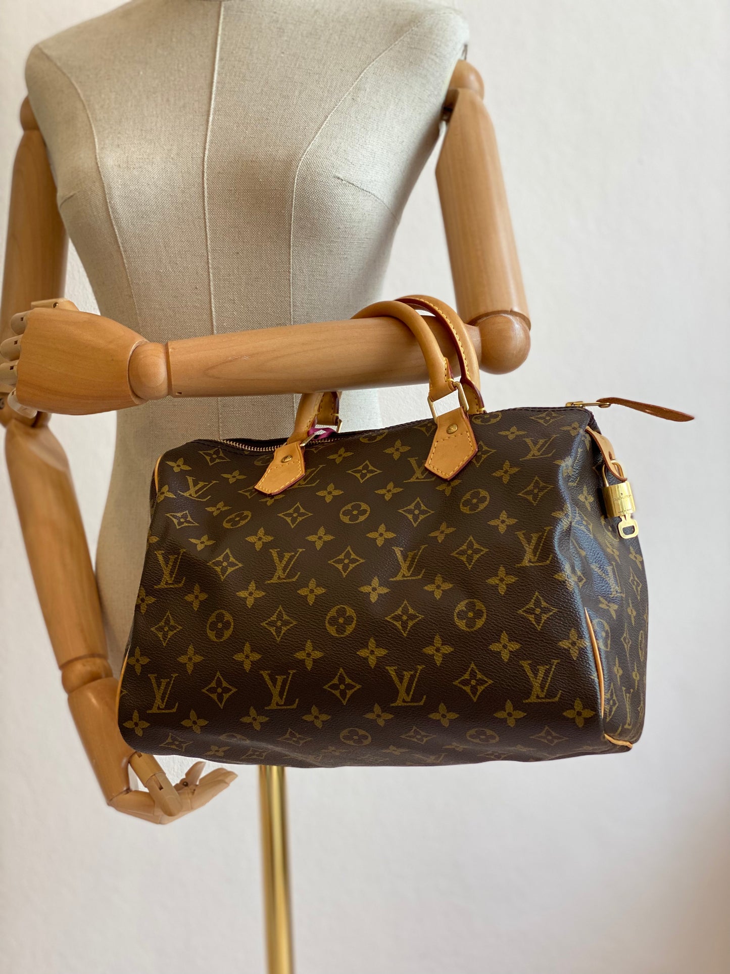 LOUIS VUITTON Speedy 30 Monogram