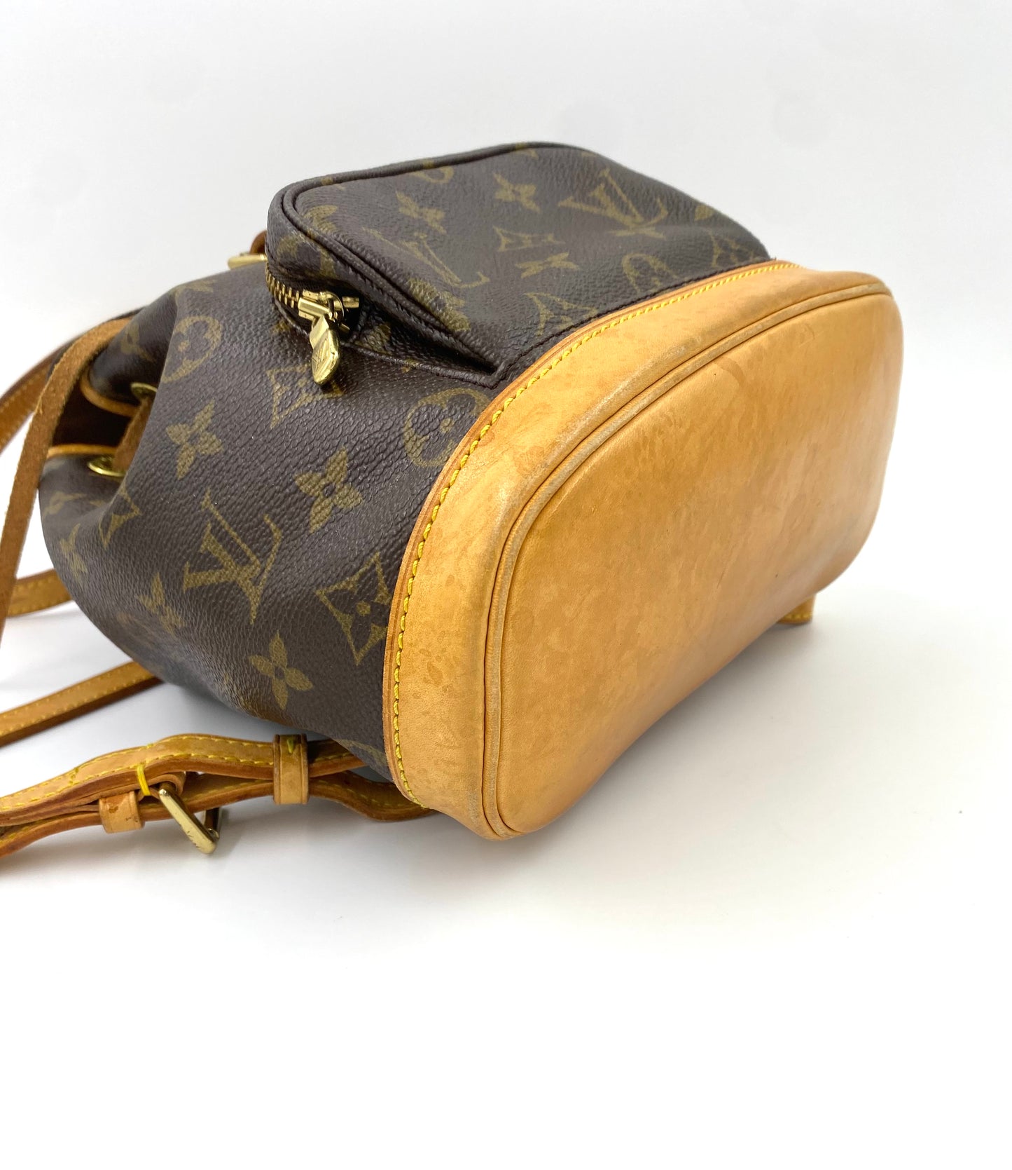 LOUIS VUITTON Montsouris PM Monogram Canvas