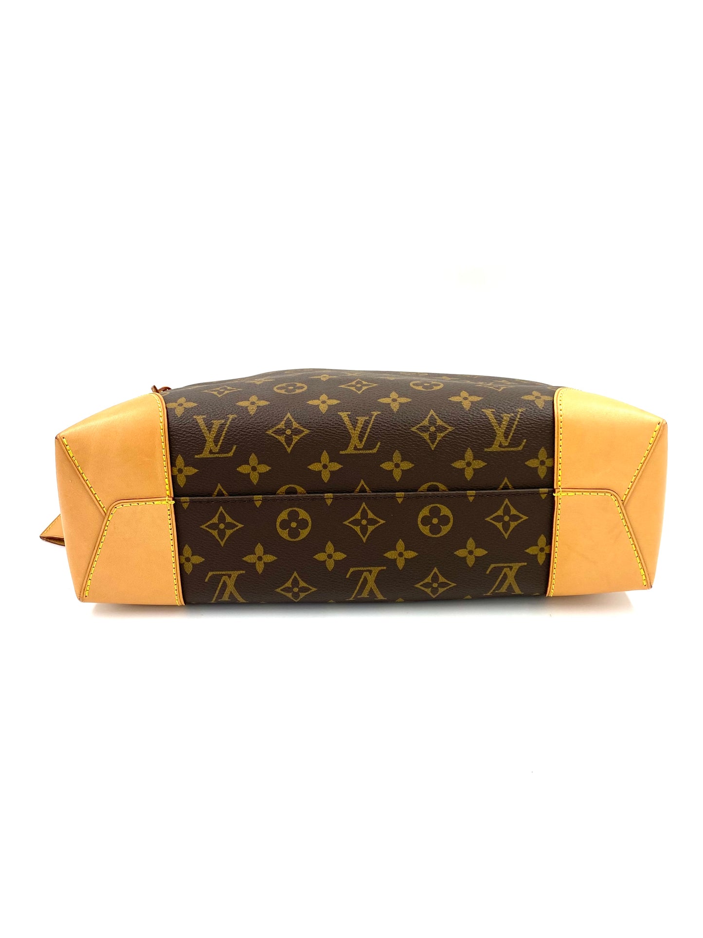 LOUIS VUITTON Berri PM Monogram Canvas