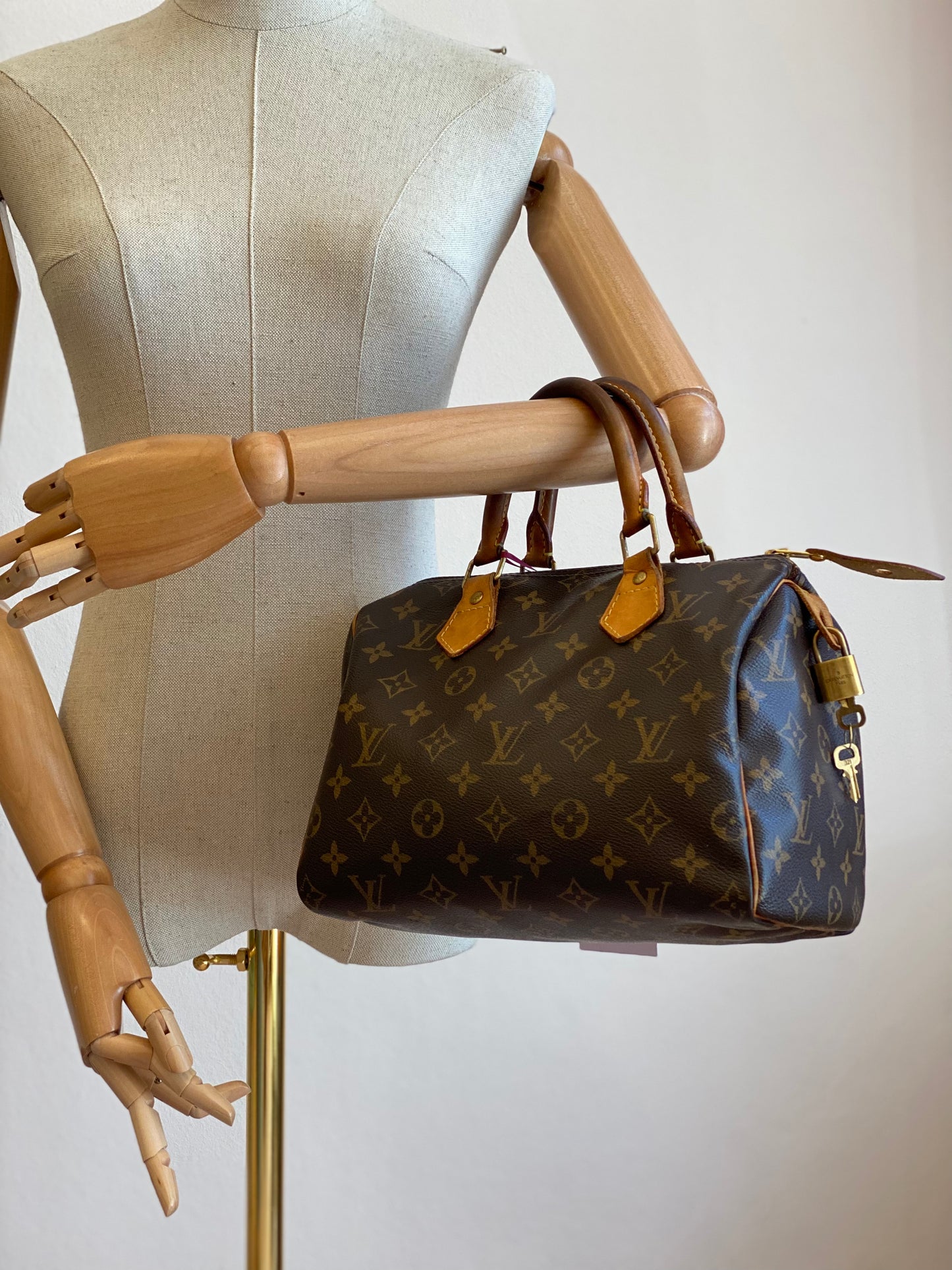 LOUIS VUITTON Speedy 25 Monogram Canvas