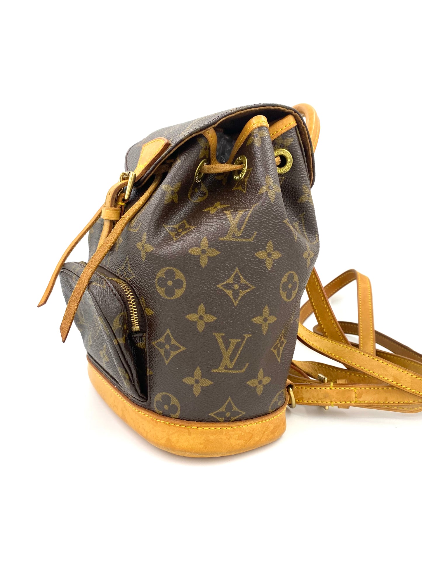 LOUIS VUITTON Montsouris PM Monogram Canvas