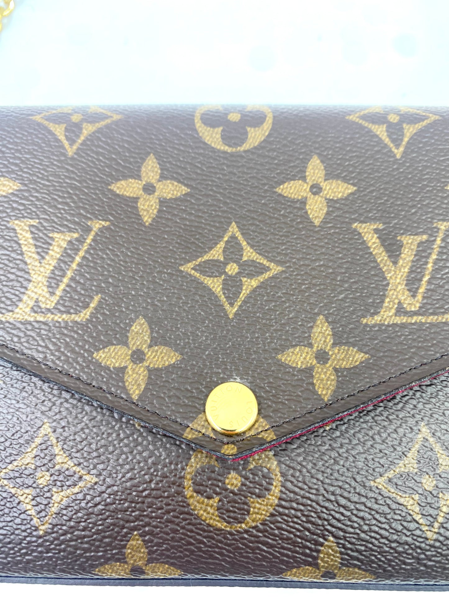 LOUIS VUITTON Pochette Felicie Monogram Canvas