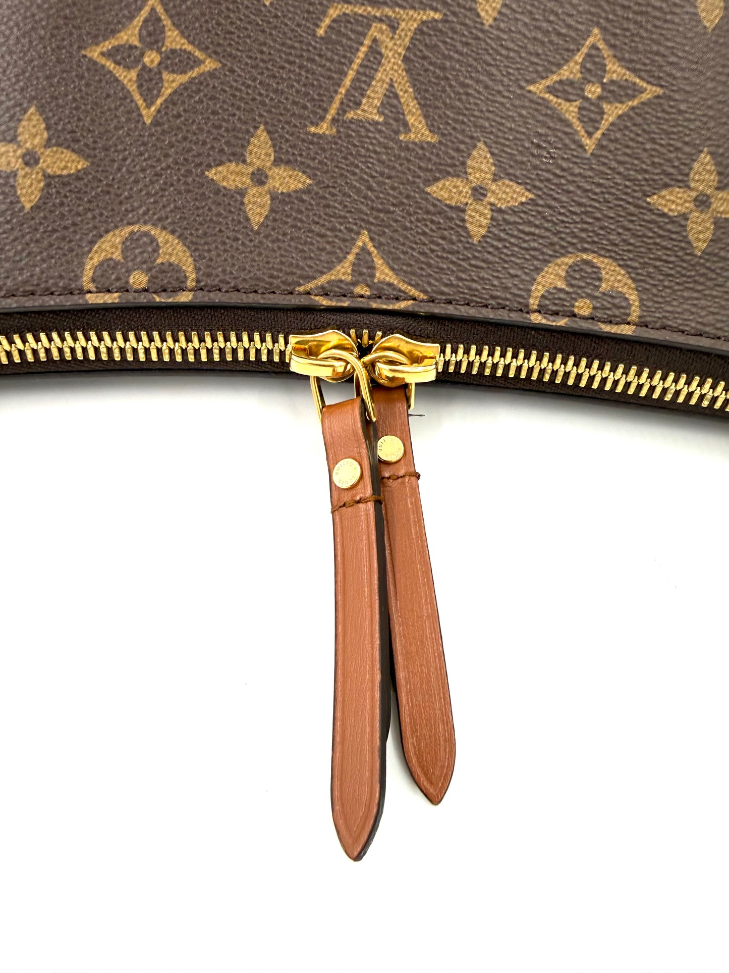 LOUIS VUITTON Loop Hobobag Monogram Canvas
