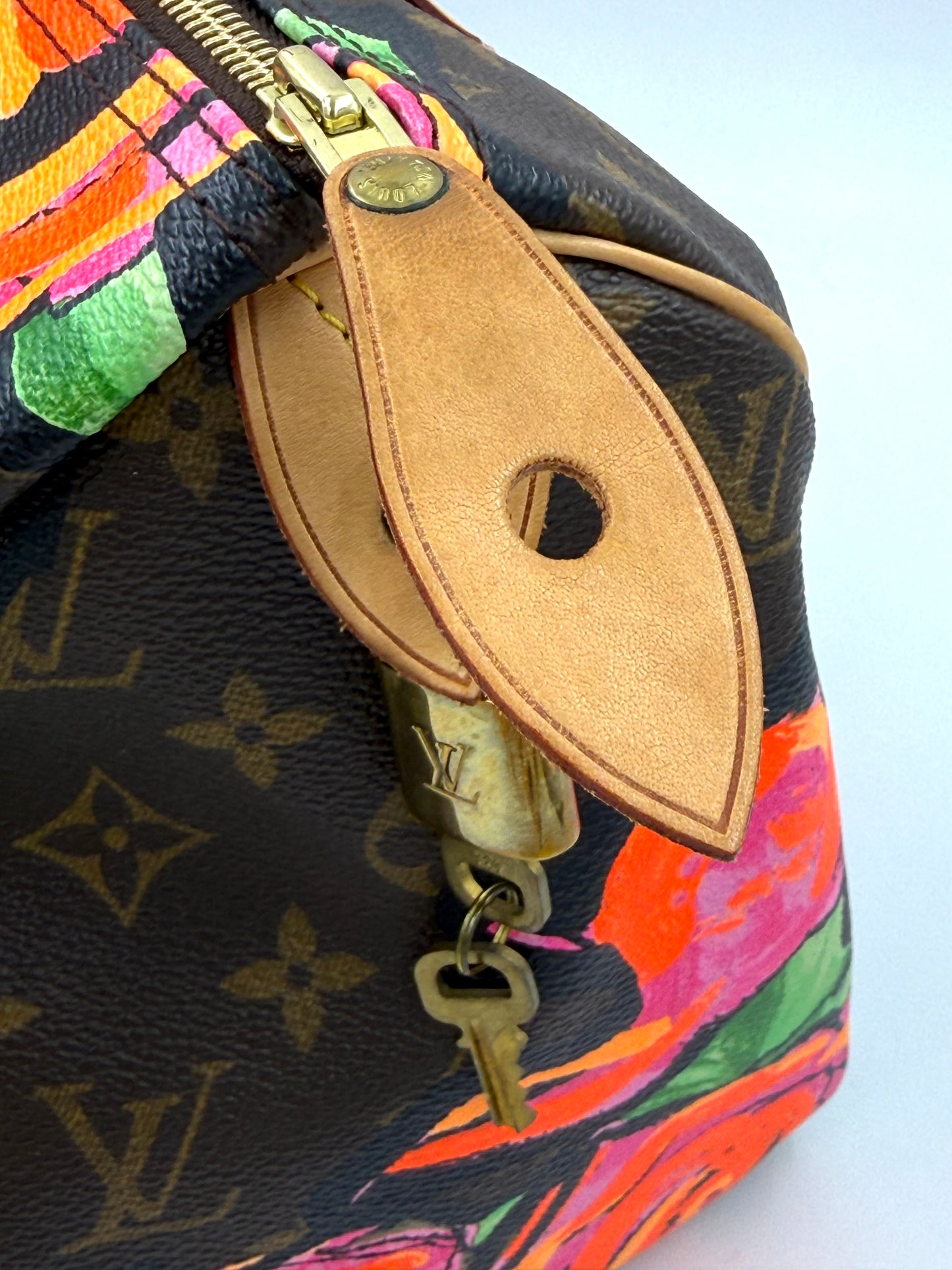 LOUIS VUITTON Speedy 30 Roses
