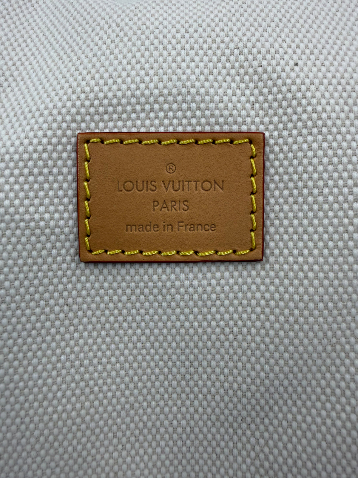 LOUIS VUITTON Speedy 40 P9 gelb
