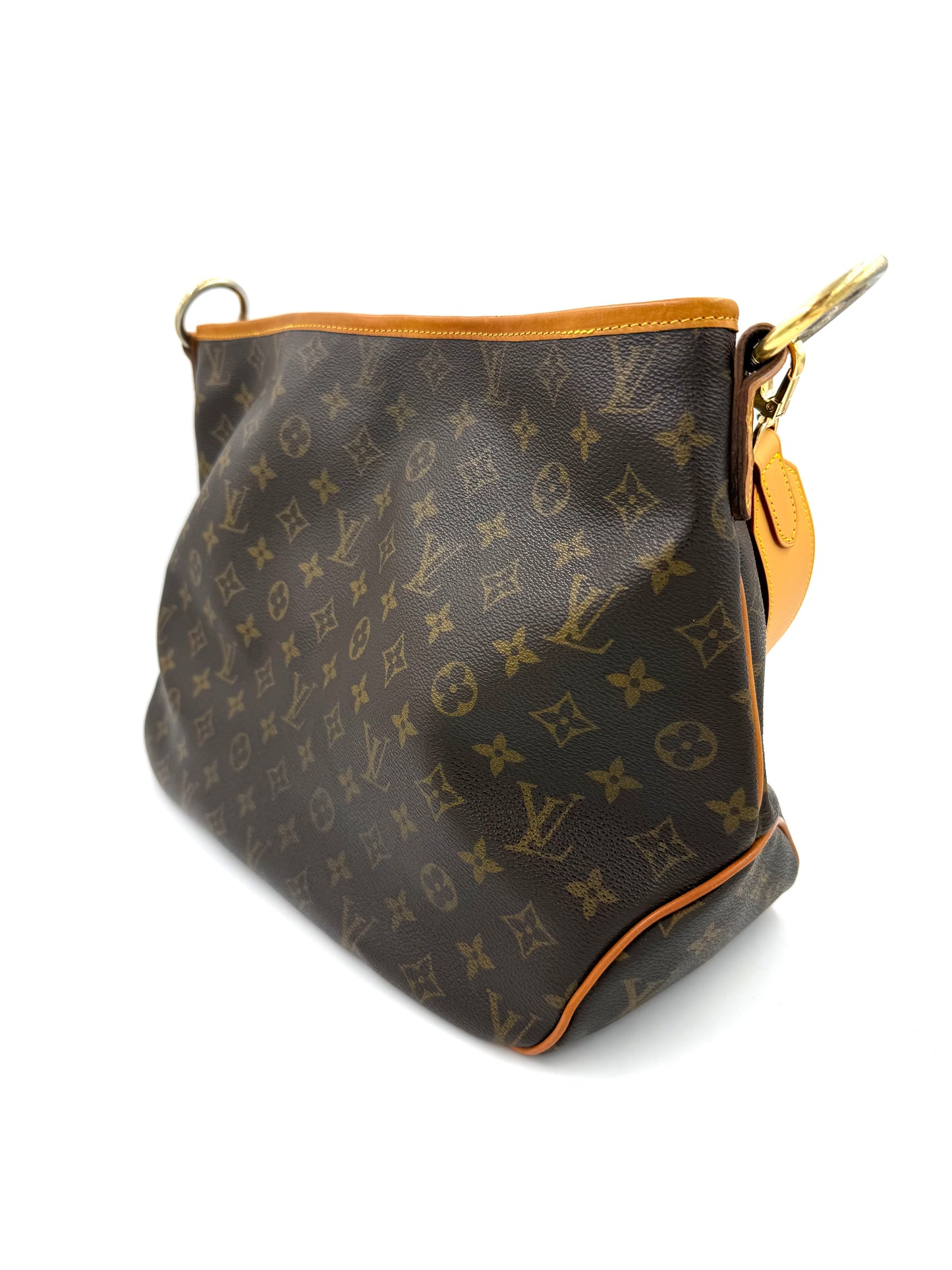 LOUIS VUITTON Delightful PM Monogram Canvas