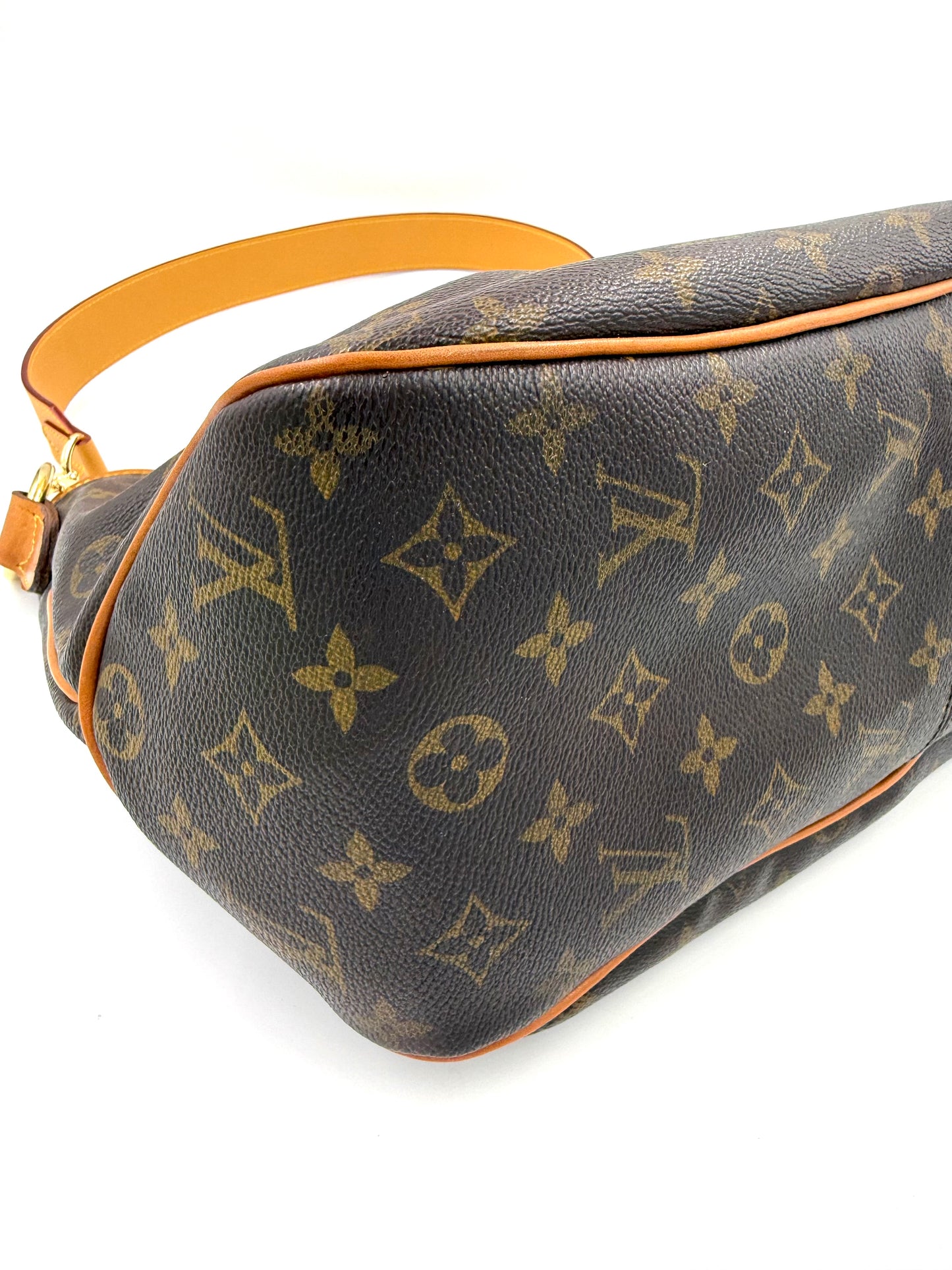 LOUIS VUITTON Delightful PM Monogram Canvas