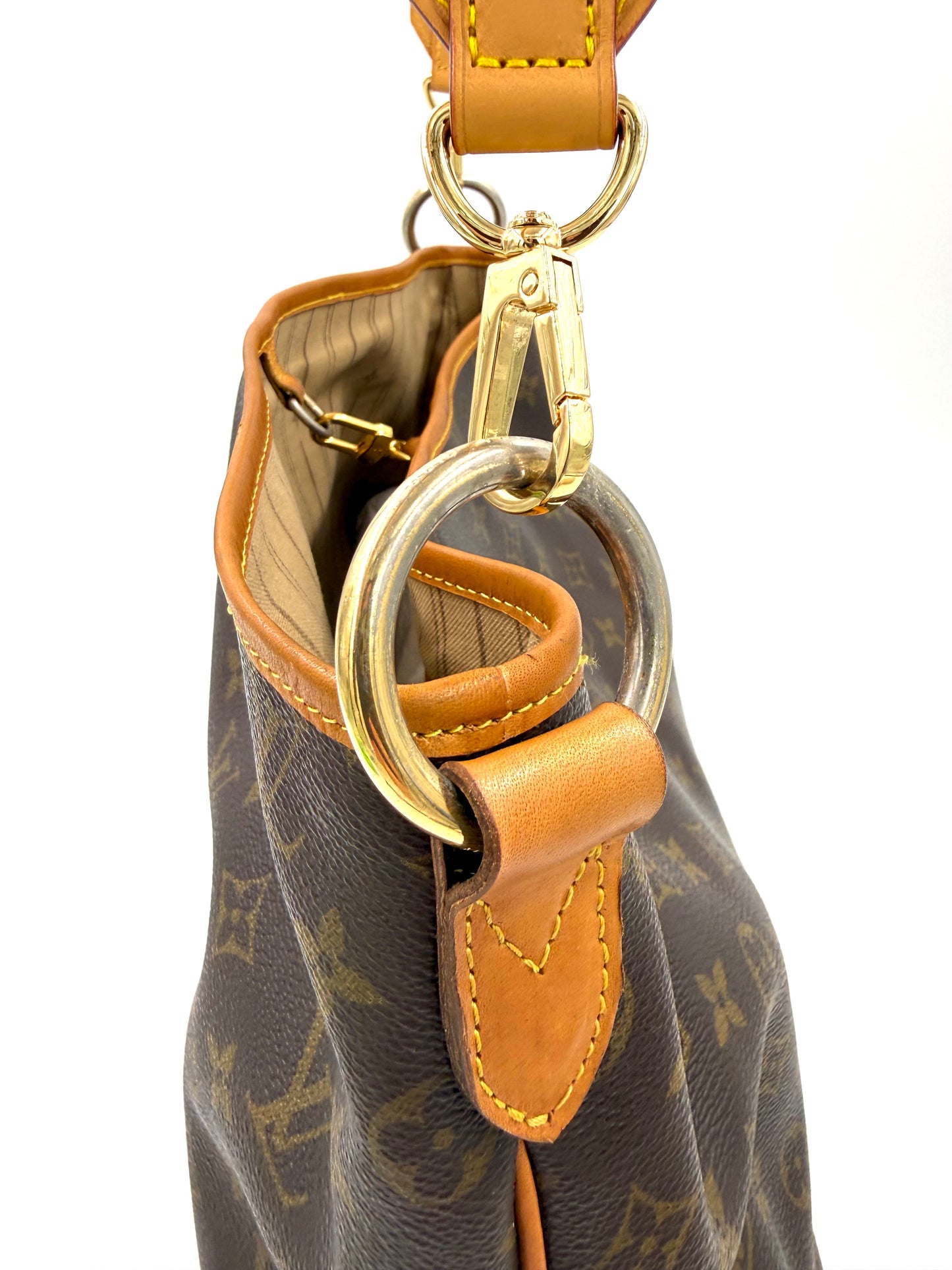 LOUIS VUITTON Delightful PM Monogram Canvas