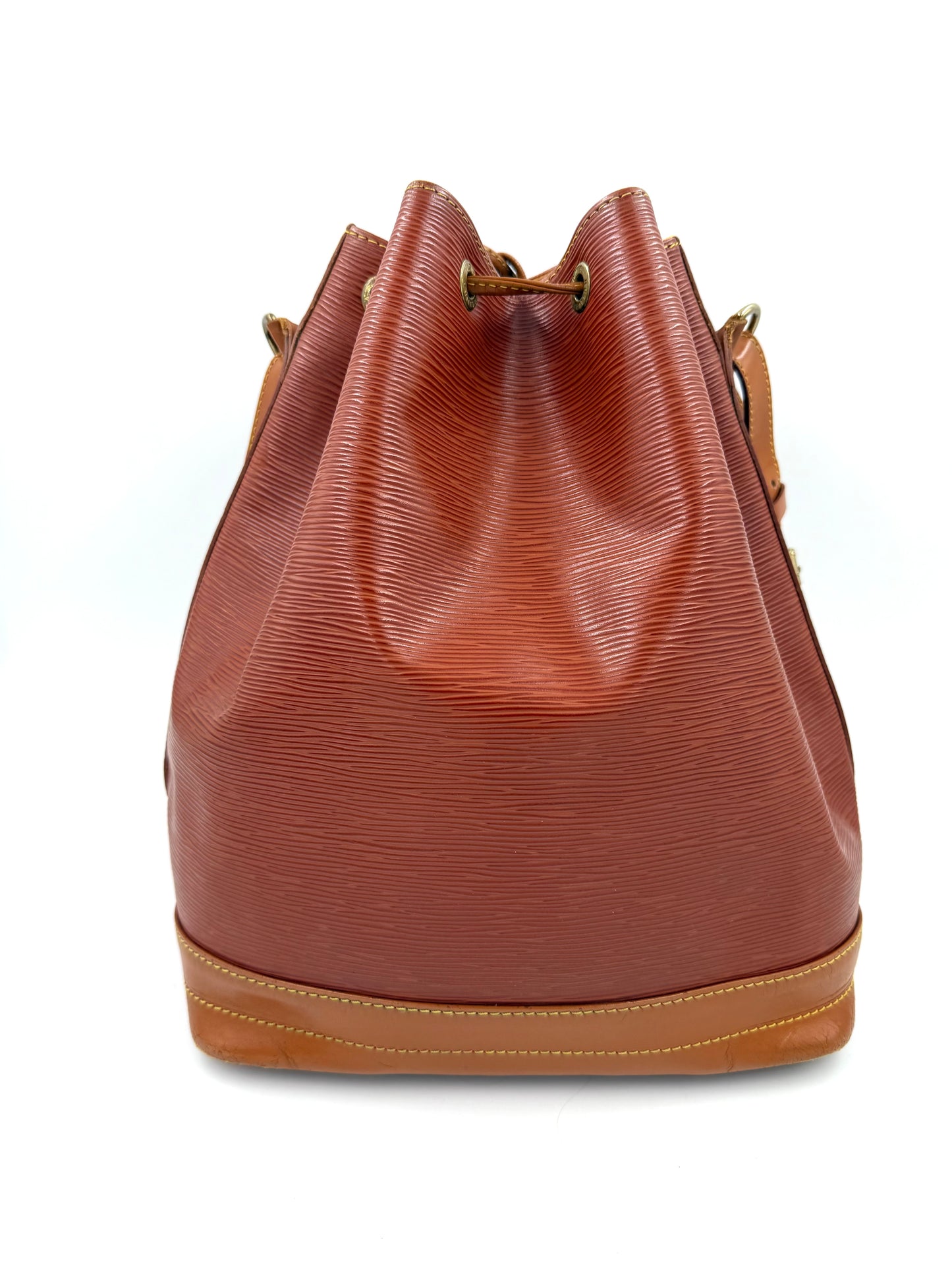 LOUIS VUITTON Noe grande Epi Bicolor cognac