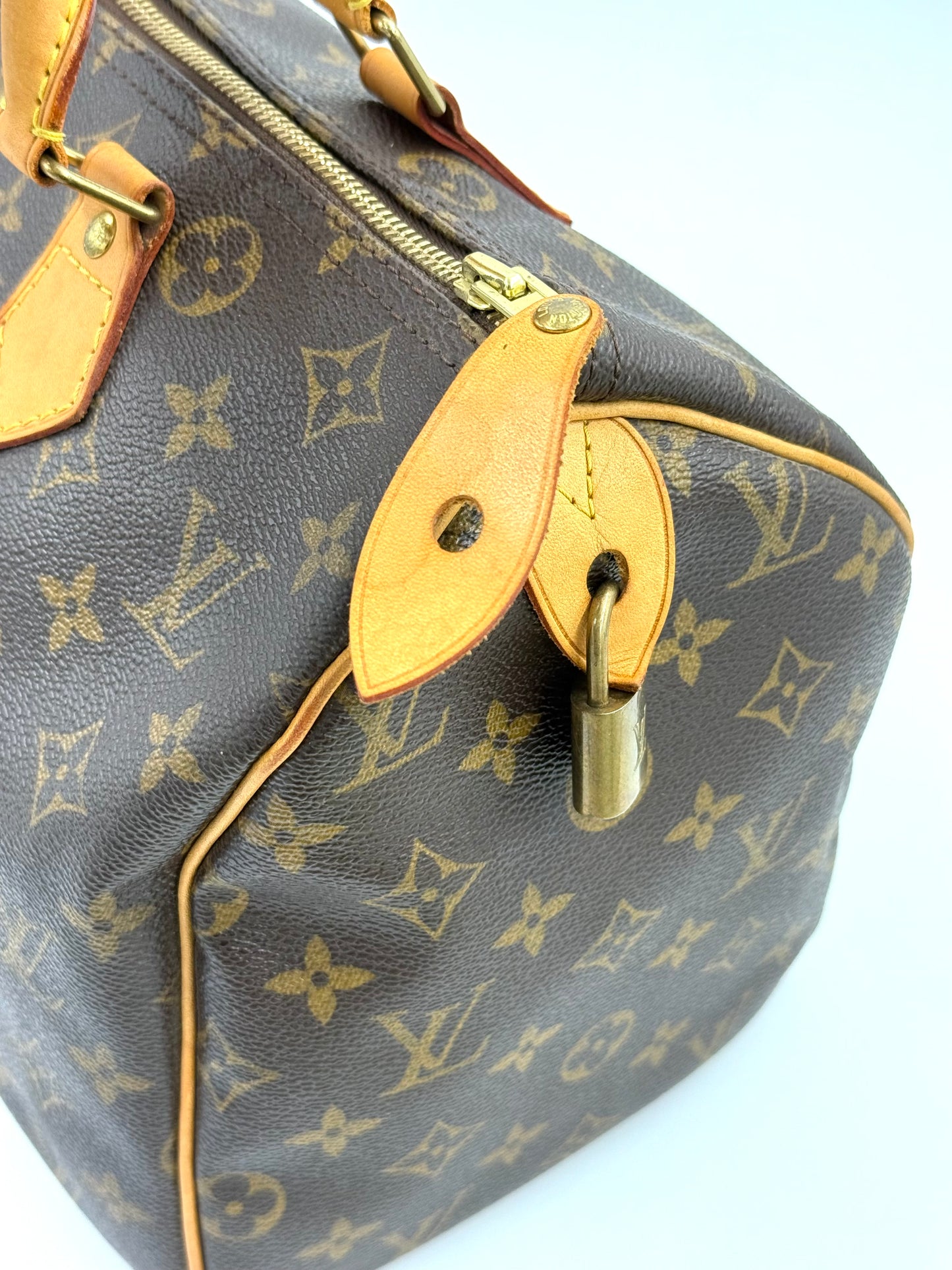 LOUIS VUITTON Speedy 30 Monogram Canvas