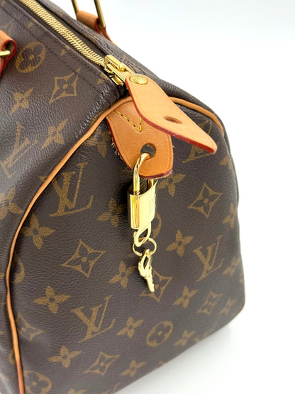 LOUIS VUITTON Speedy 30 Monogram Canvas
